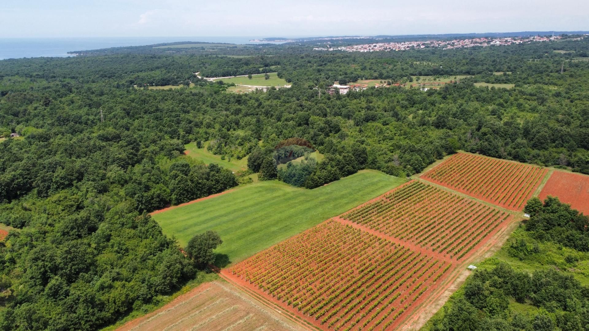 Tierra en Alquitrán, Istarska Županija 12660599