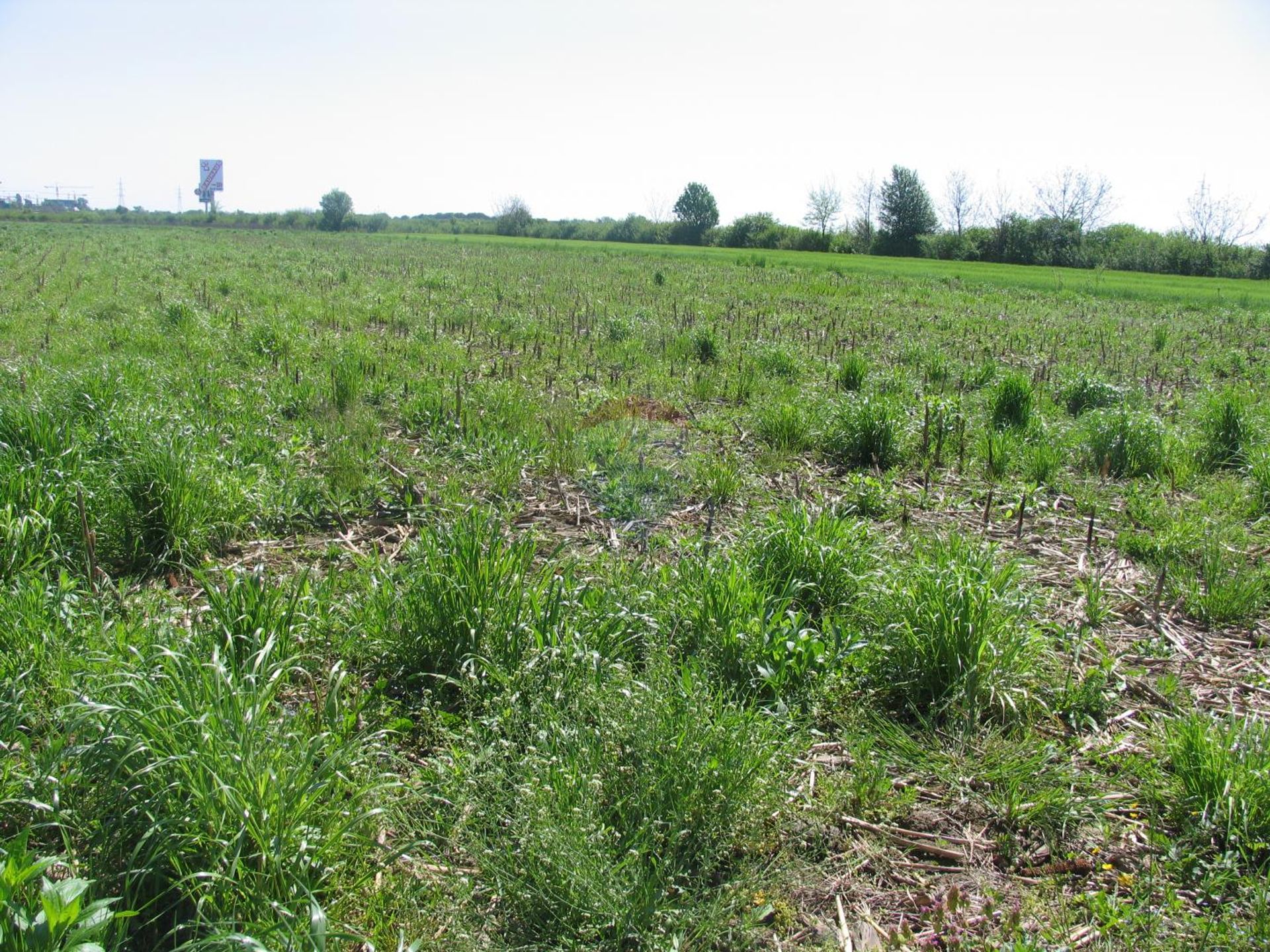 Land im Gornji Cehi, Zagreb, Grad 12664394