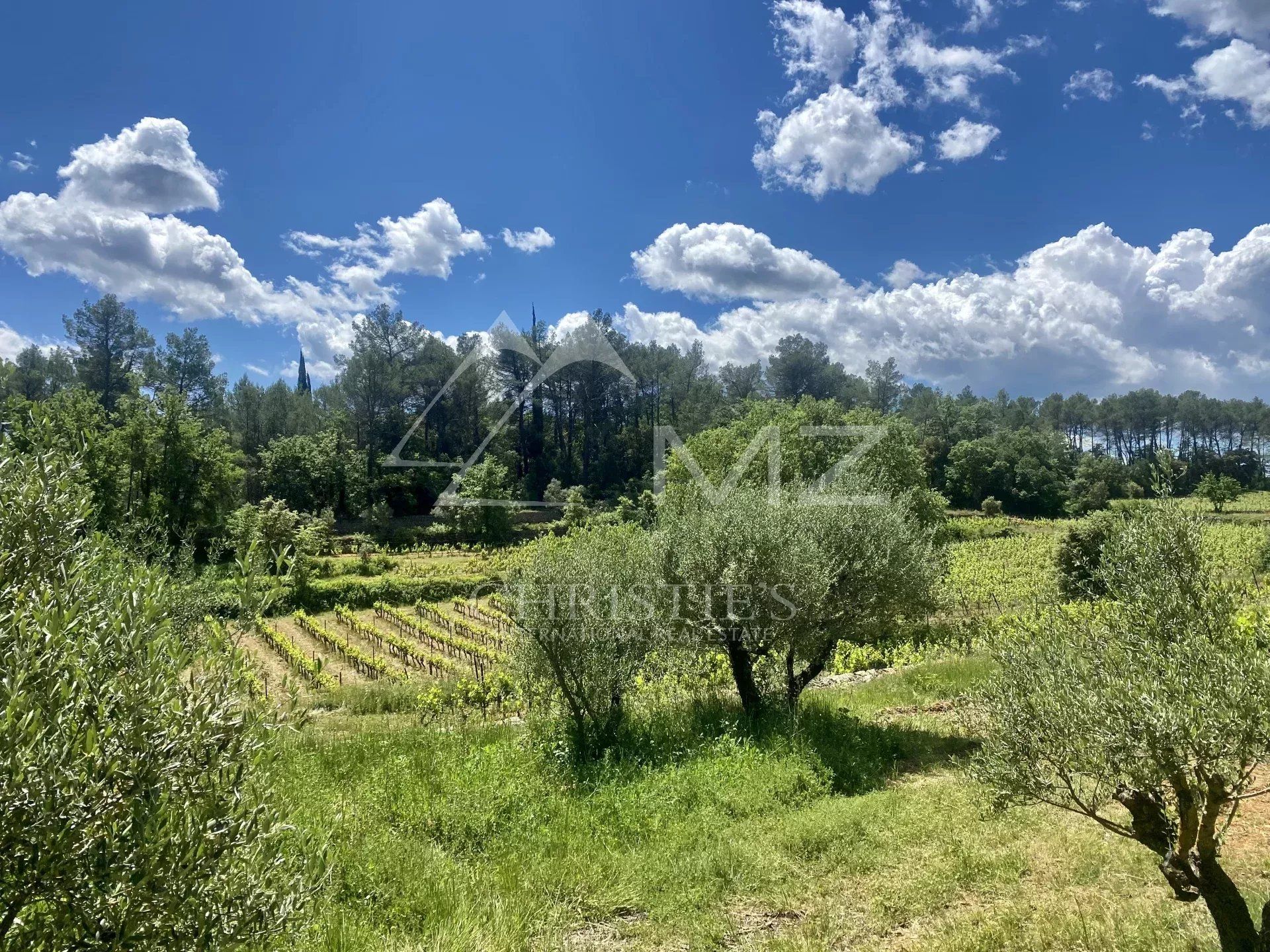 Otro en Cotignac, Provence-Alpes-Cote d'Azur 12664408