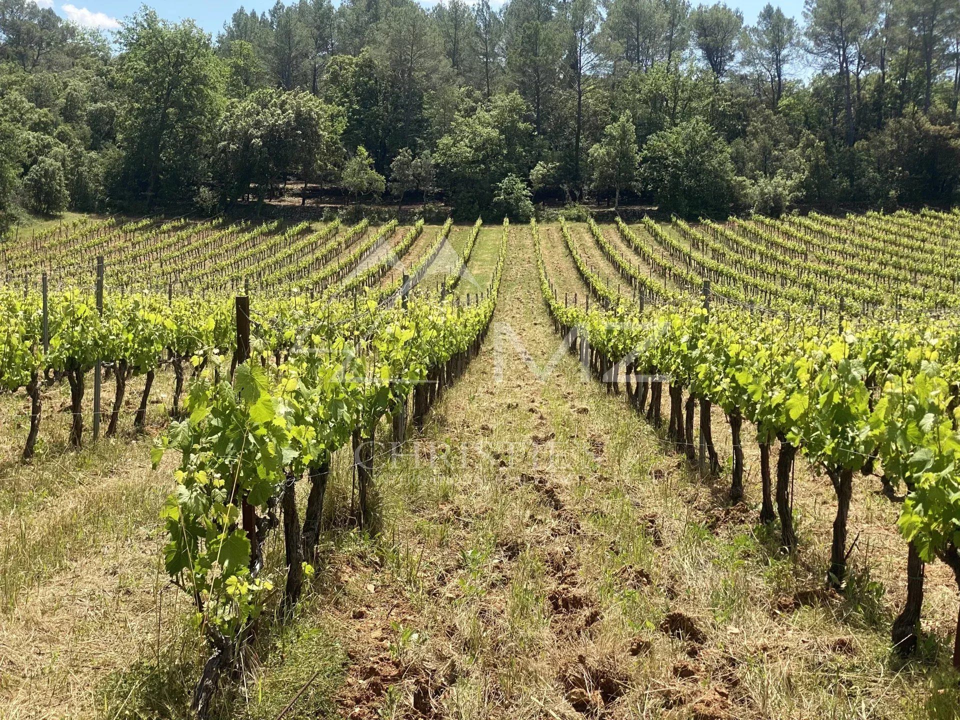 Otro en Cotignac, Provence-Alpes-Cote d'Azur 12664408