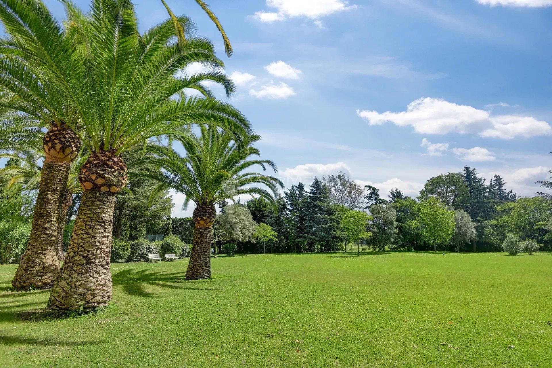 Osakehuoneisto sisään Mandelieu-la-Napoule, Alpes-Maritimes 12664544