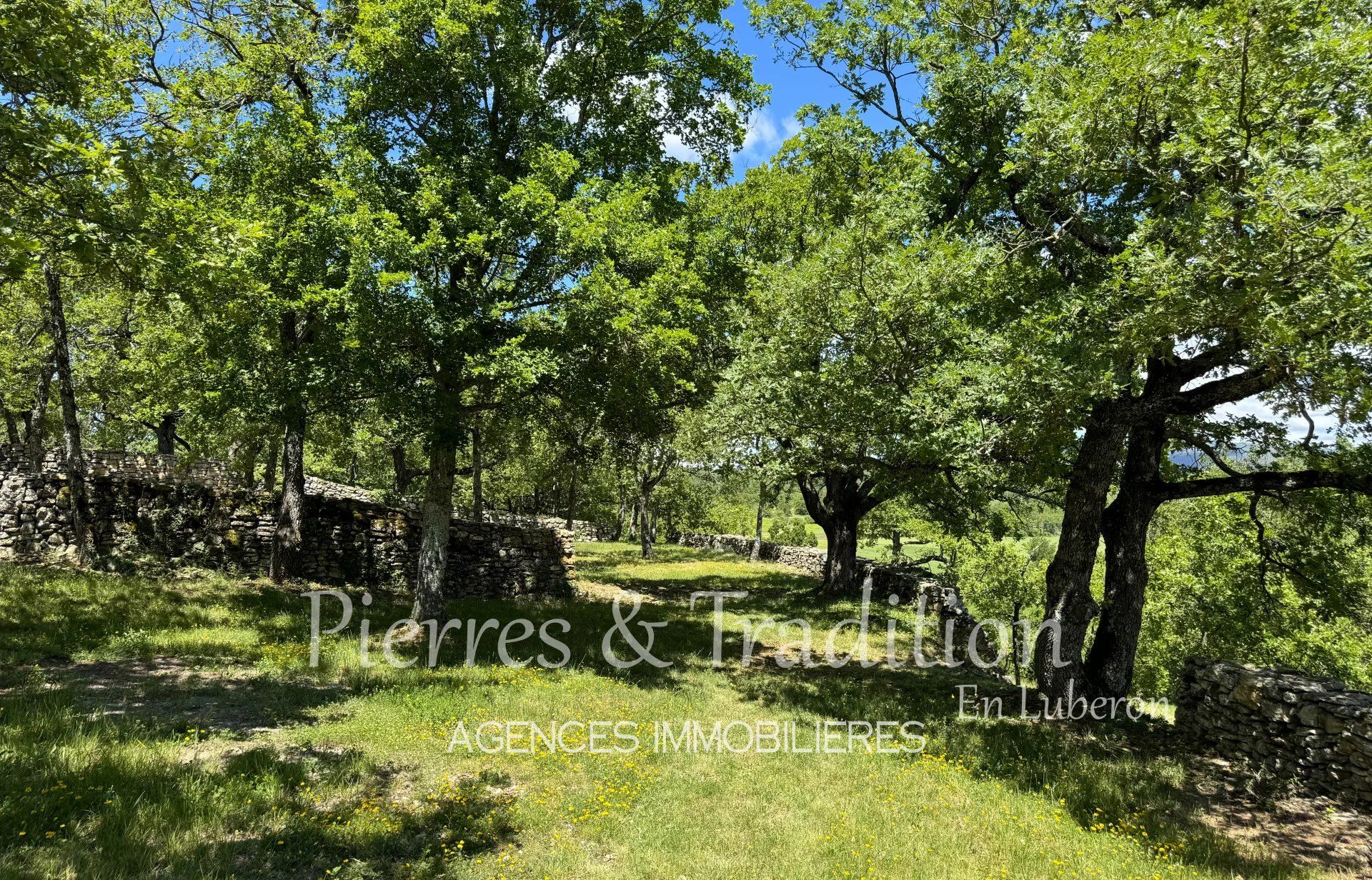 Casa nel Saint-Martin-de-Castillon, Vaucluse 12664579