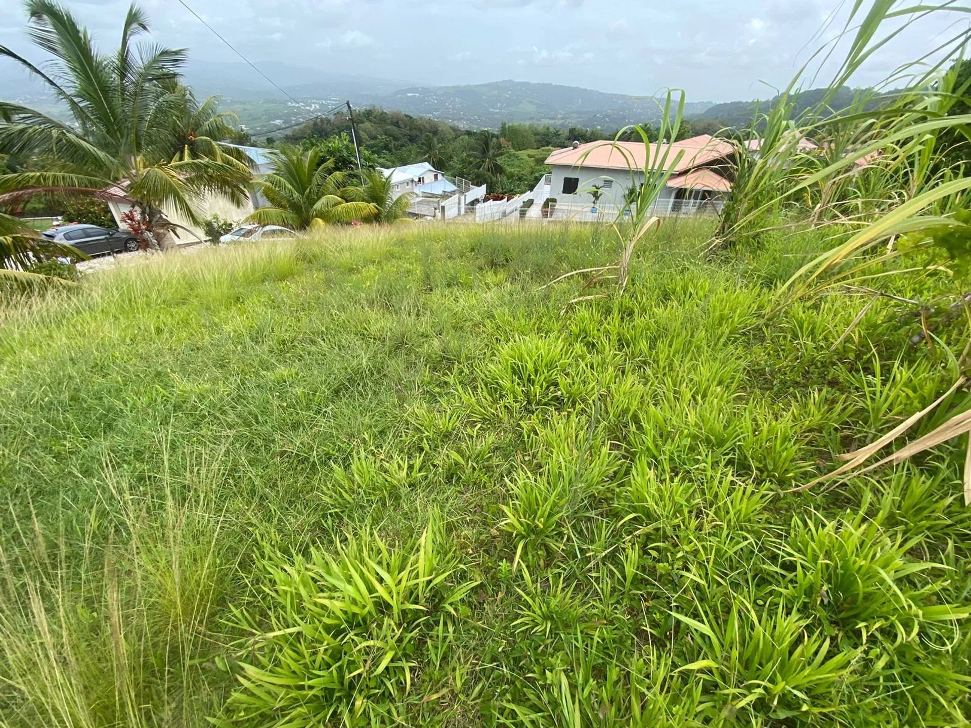 Terra no Le Lamentin, Martinique 12664600