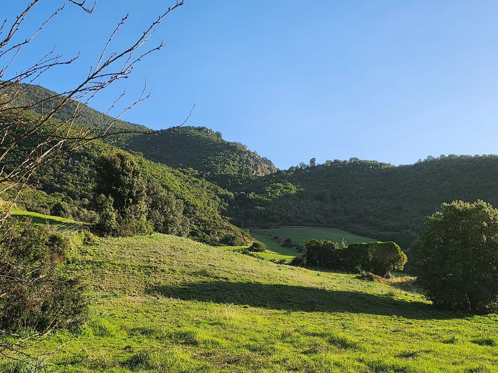 ארץ ב Bastelicaccia, Corse-du-Sud 12664836