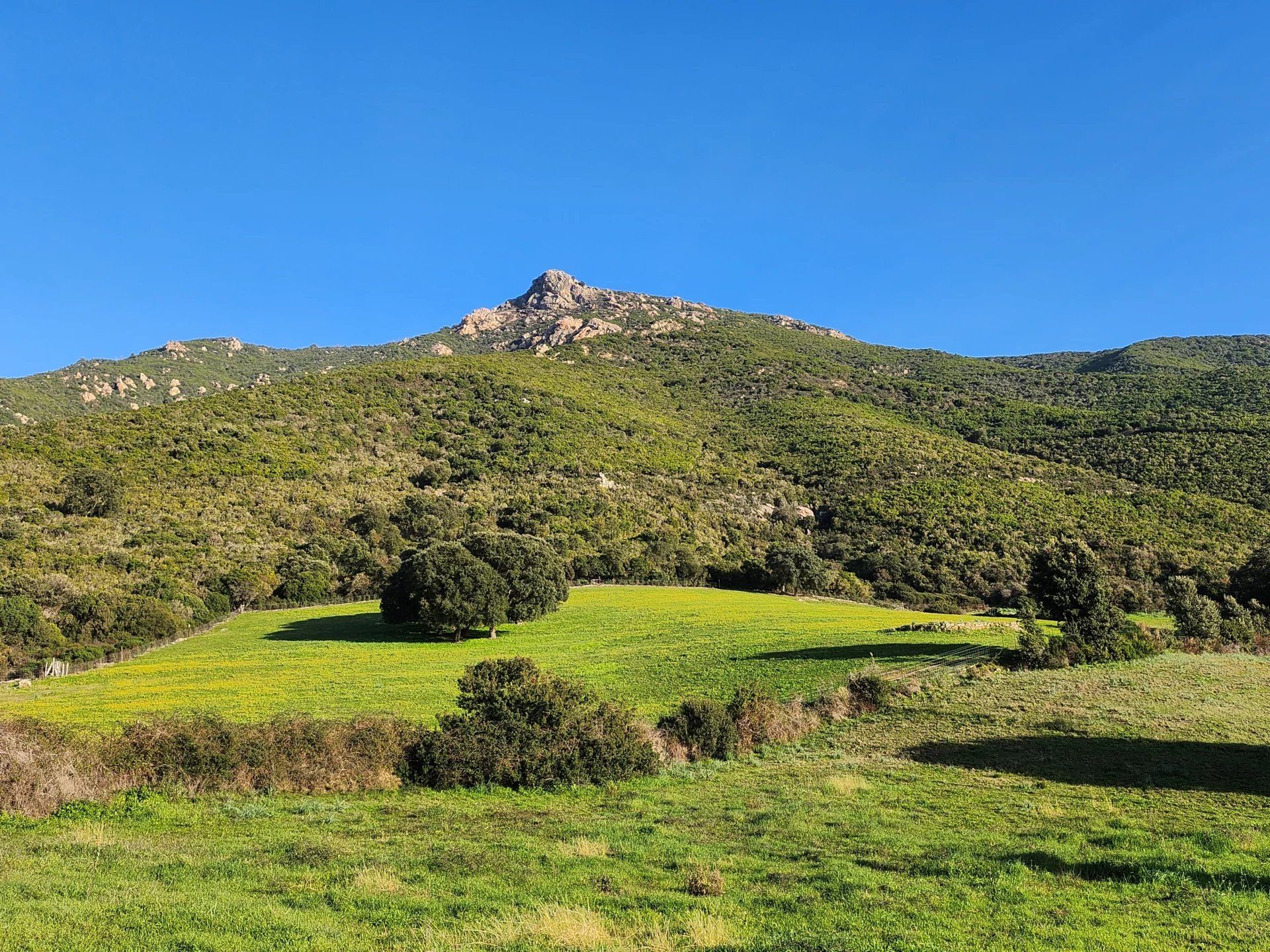 ארץ ב Bastelicaccia, Corse-du-Sud 12664836