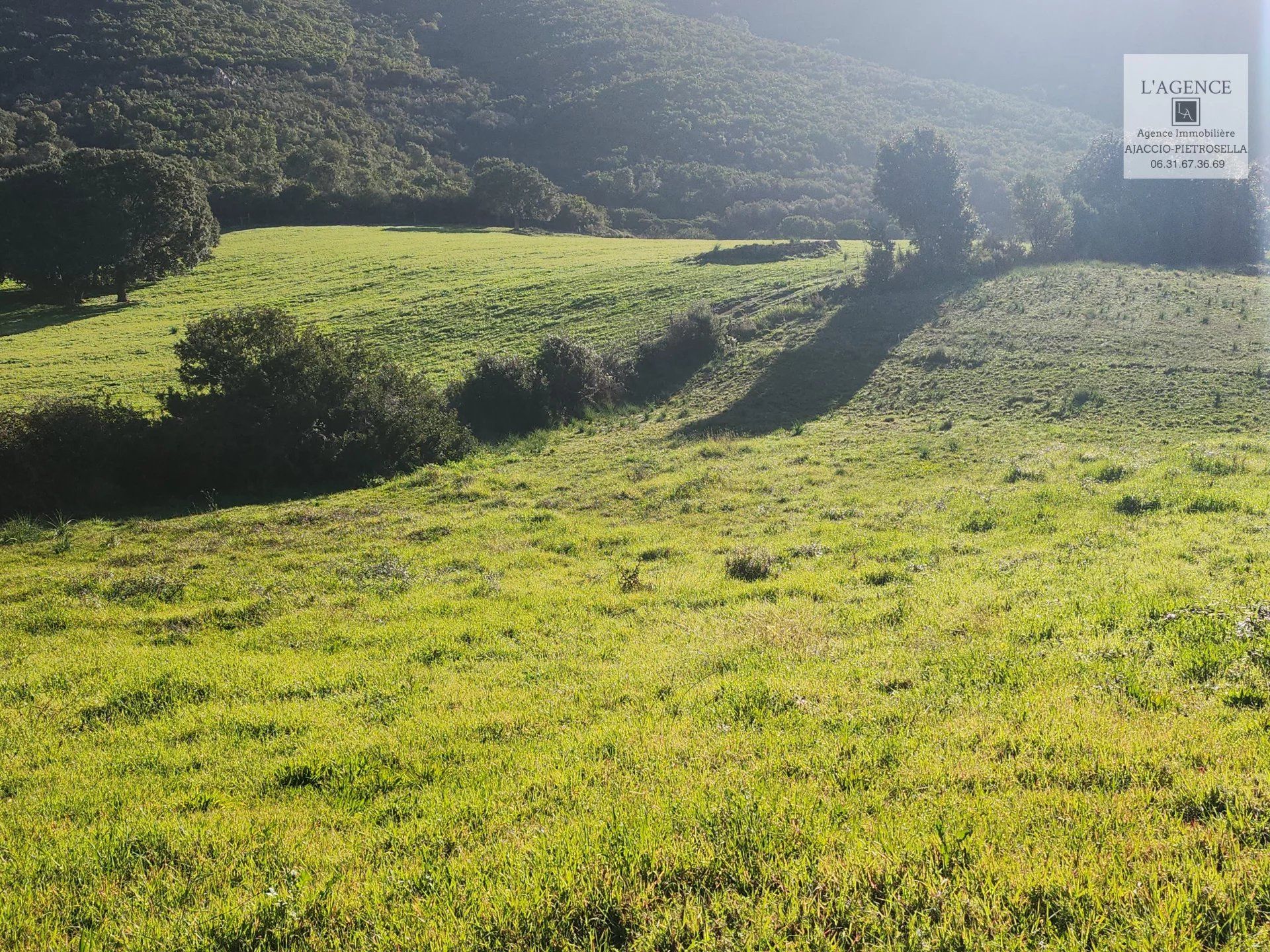 ארץ ב Bastelicaccia, Corse-du-Sud 12664836