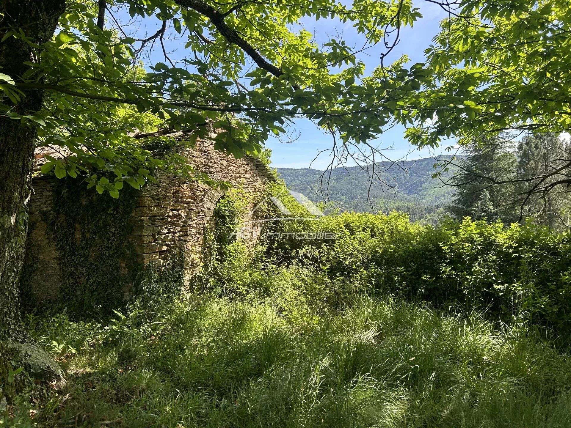 Kaupallinen sisään Le Collet-de-Dèze, Lozère 12664951