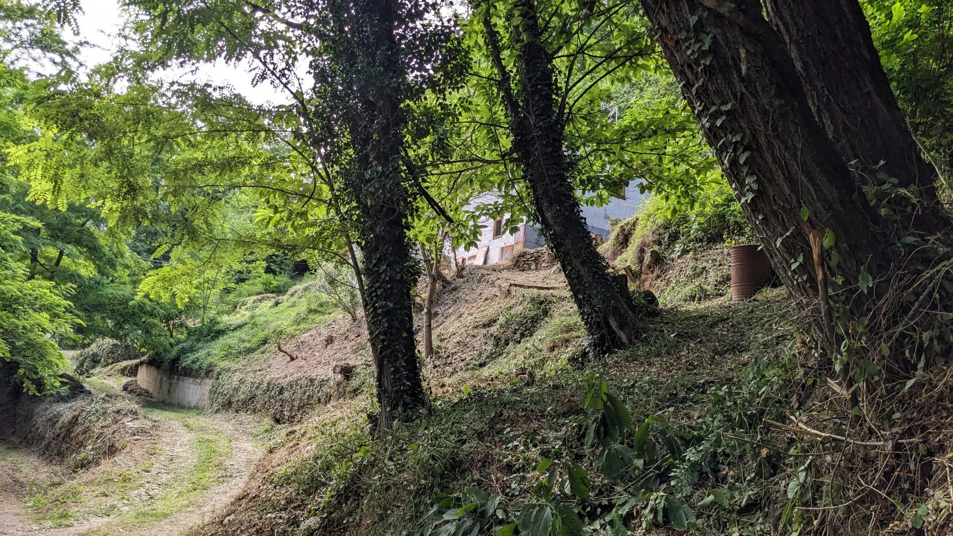 Hus i Le Collet-de-Dèze, Lozère 12665300