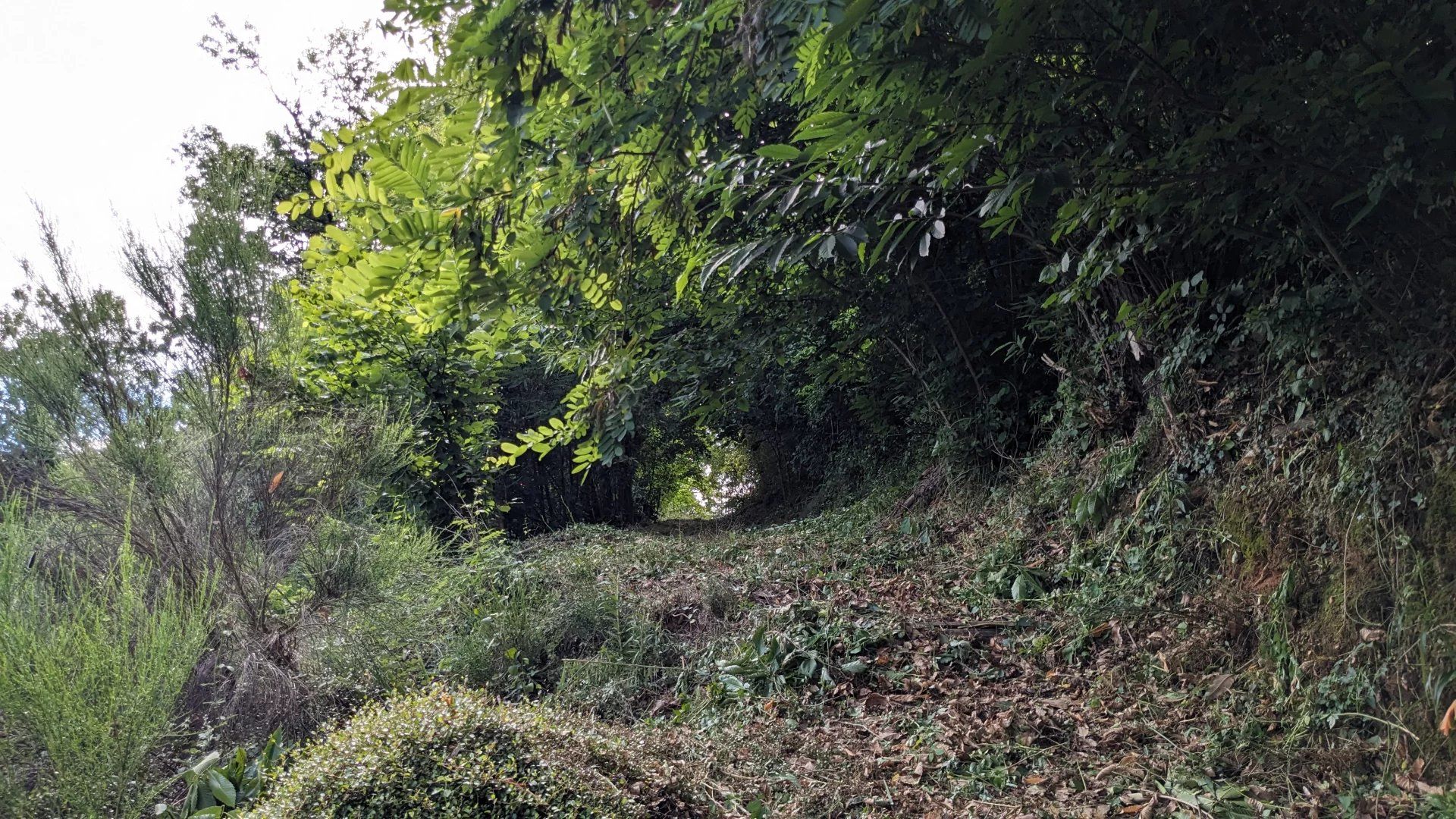 Hus i Le Collet-de-Dèze, Lozère 12665300