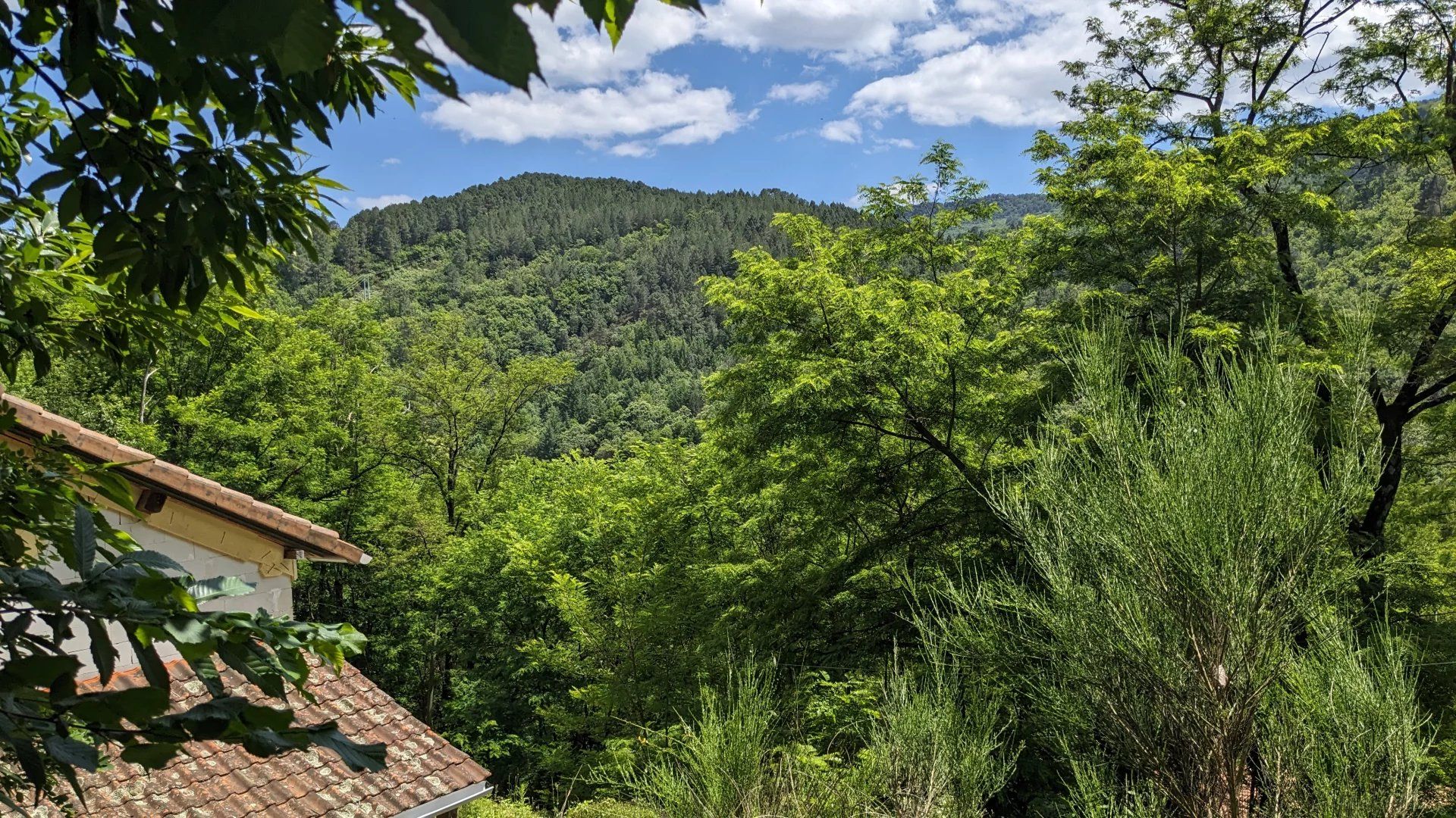 casa en Le Collet-de-Dèze, Occitania 12665300