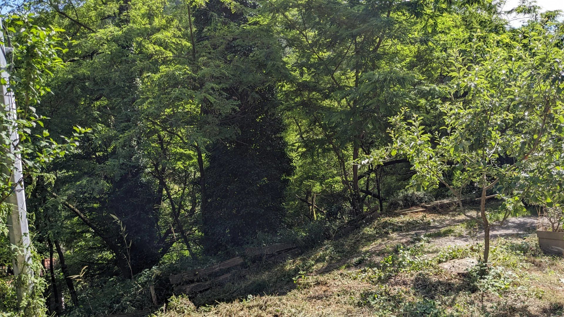 Haus im Le Collet-de-Dèze, Lozère 12665300