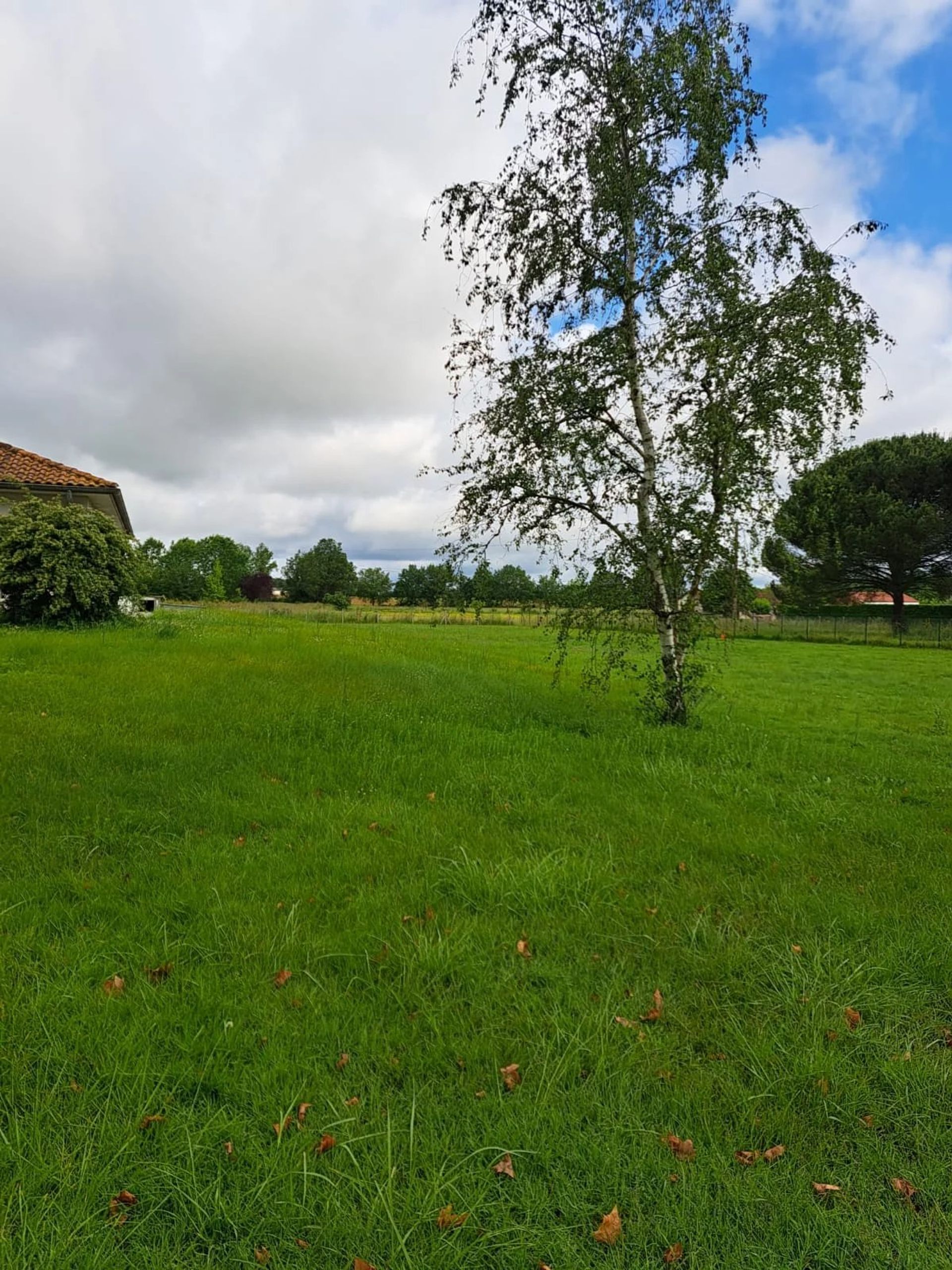 Terre dans Lacourt-Saint-Pierre, Tarn-et-Garonne 12665777