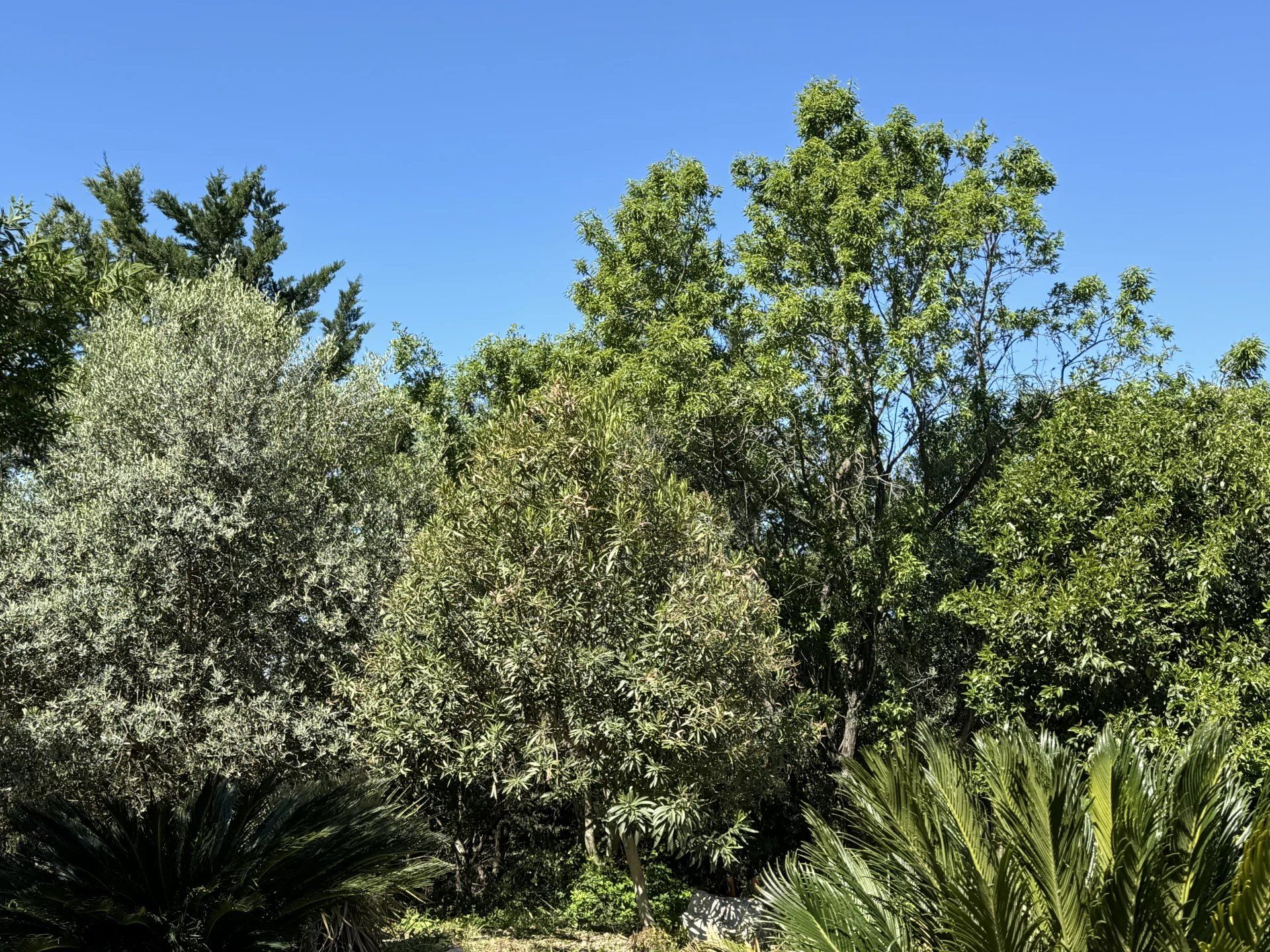 Lain di Marseille 11ème, Bouches-du-Rhône 12665813