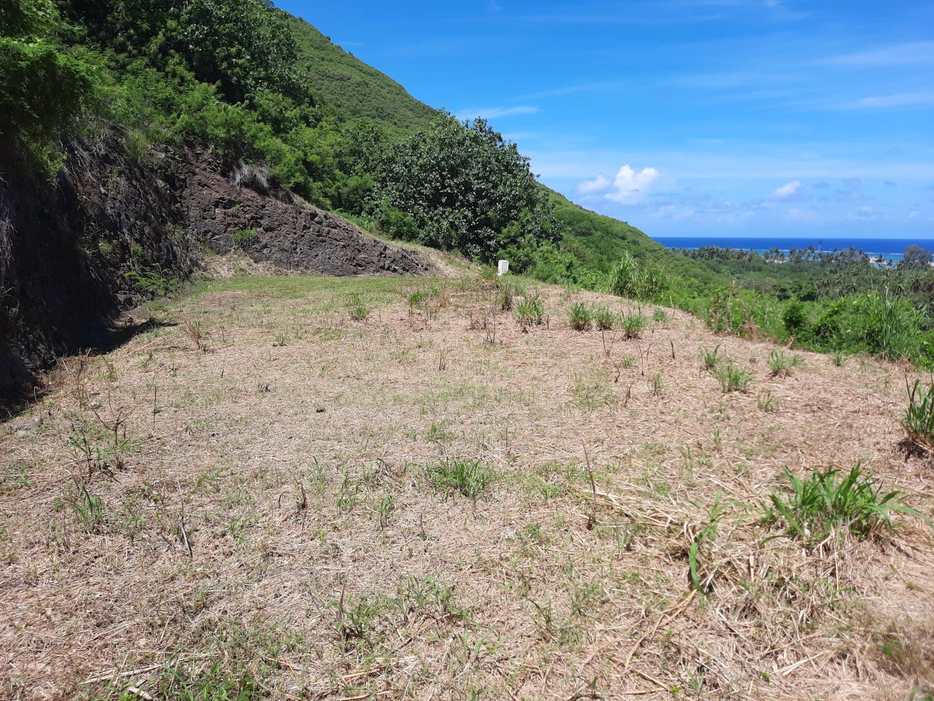 Wylądować w Moorea-Maiao, Îles du Vent 12665942