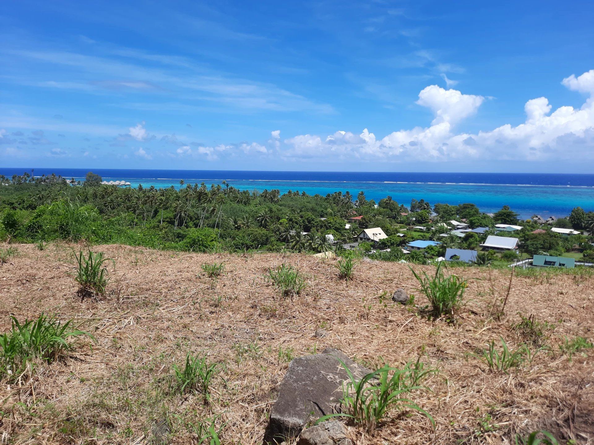 Land in Papeete, Iles du Vent 12665942