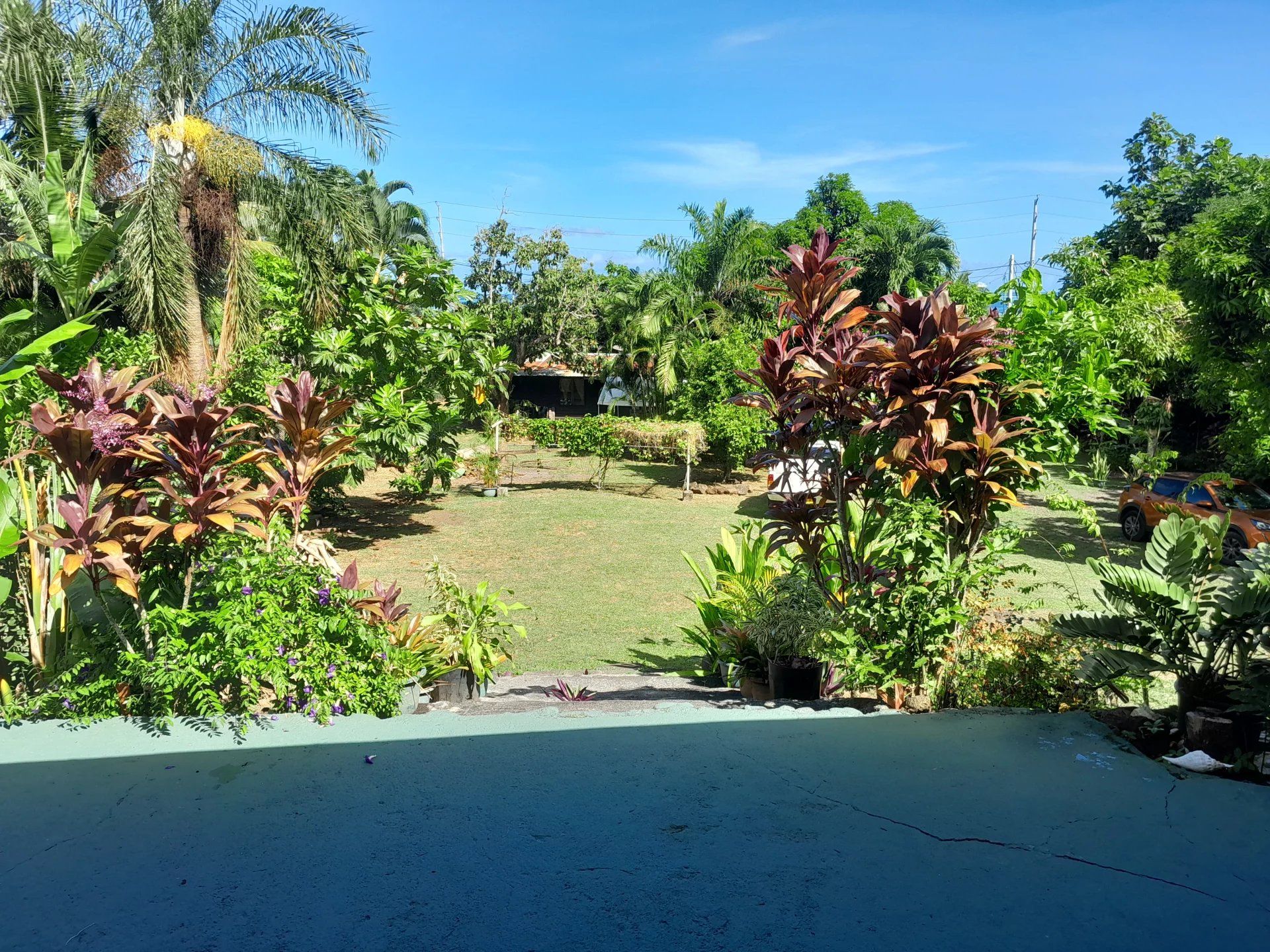 Haus im Papara, Îles du Vent 12666010