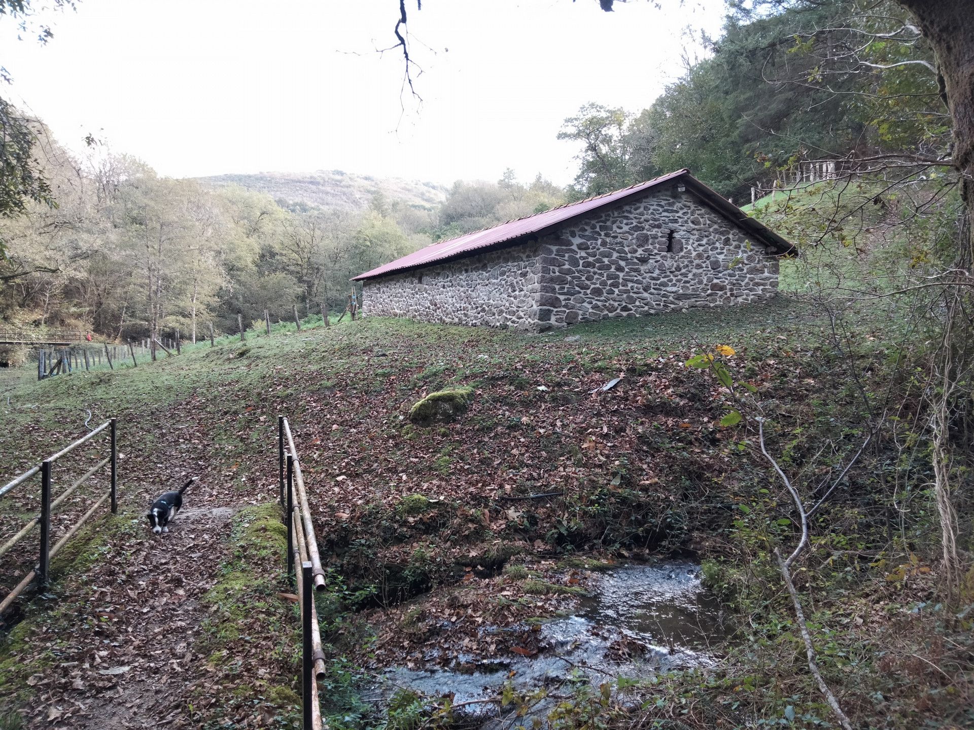 Terre dans Urdazubi/Urdax, Navarre 12666193