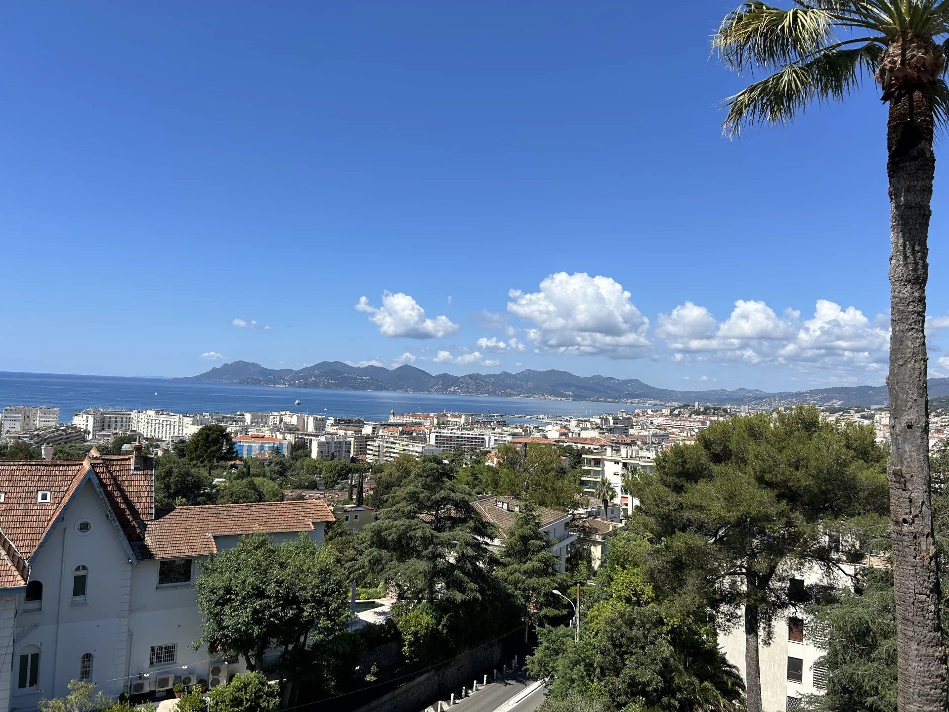 Condominium dans Cannes, Alpes-Maritimes 12667267