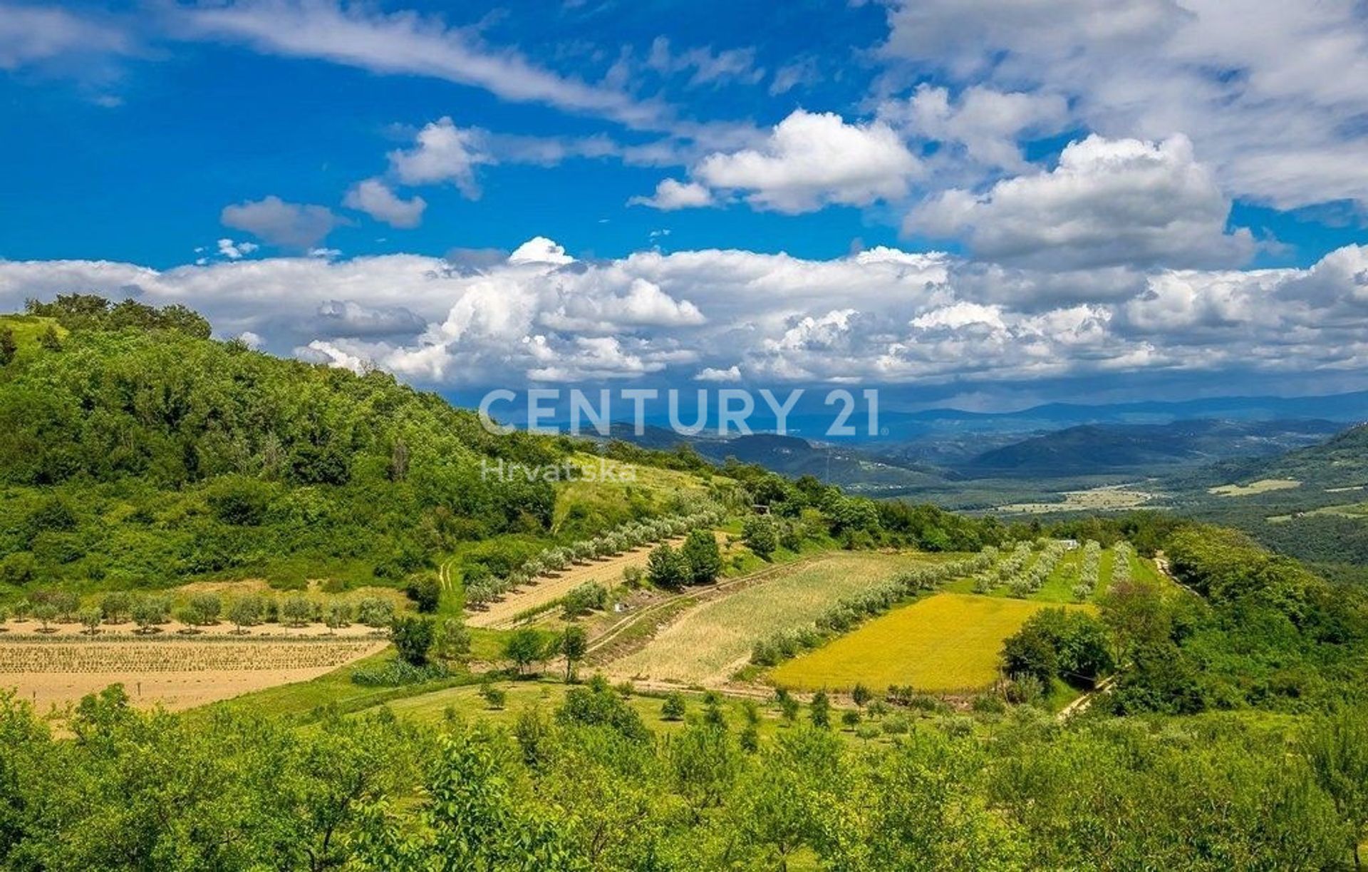 房子 在 Vižinada, Istria County 12667846