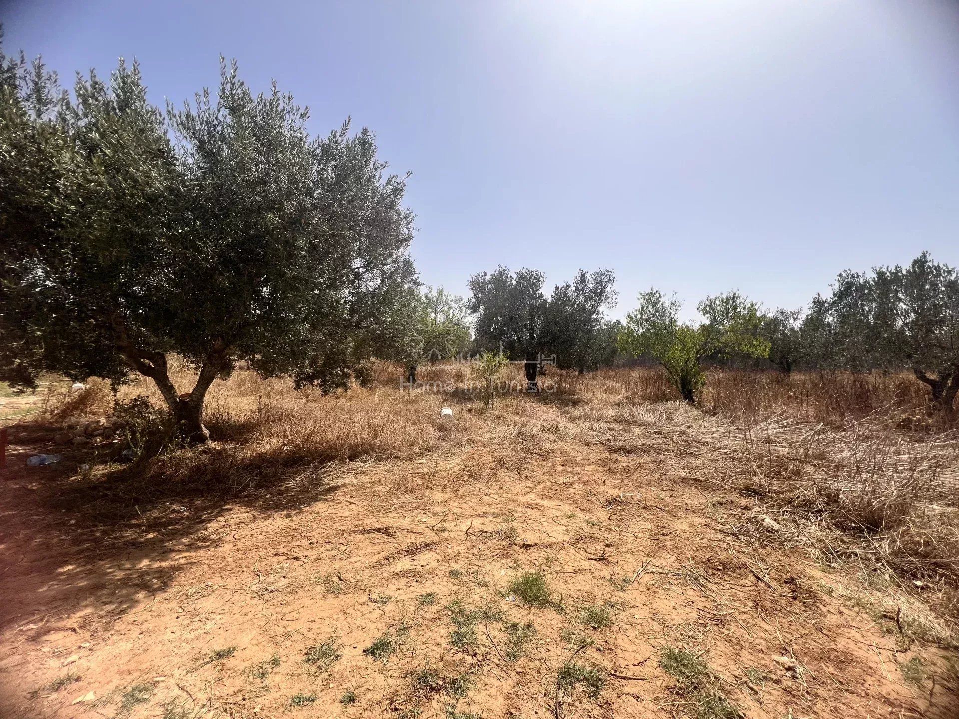 Land in Kalaa El Kebira, Kalaa El Kebira 12668459