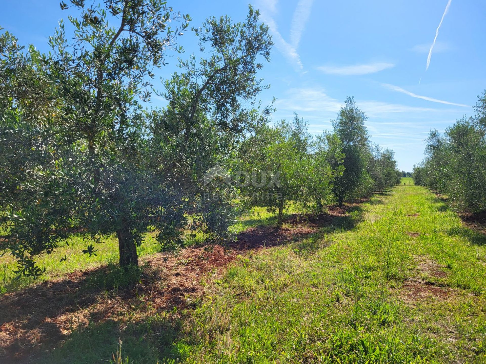 Land in Novigrad, Istarska Zupanija 12670959