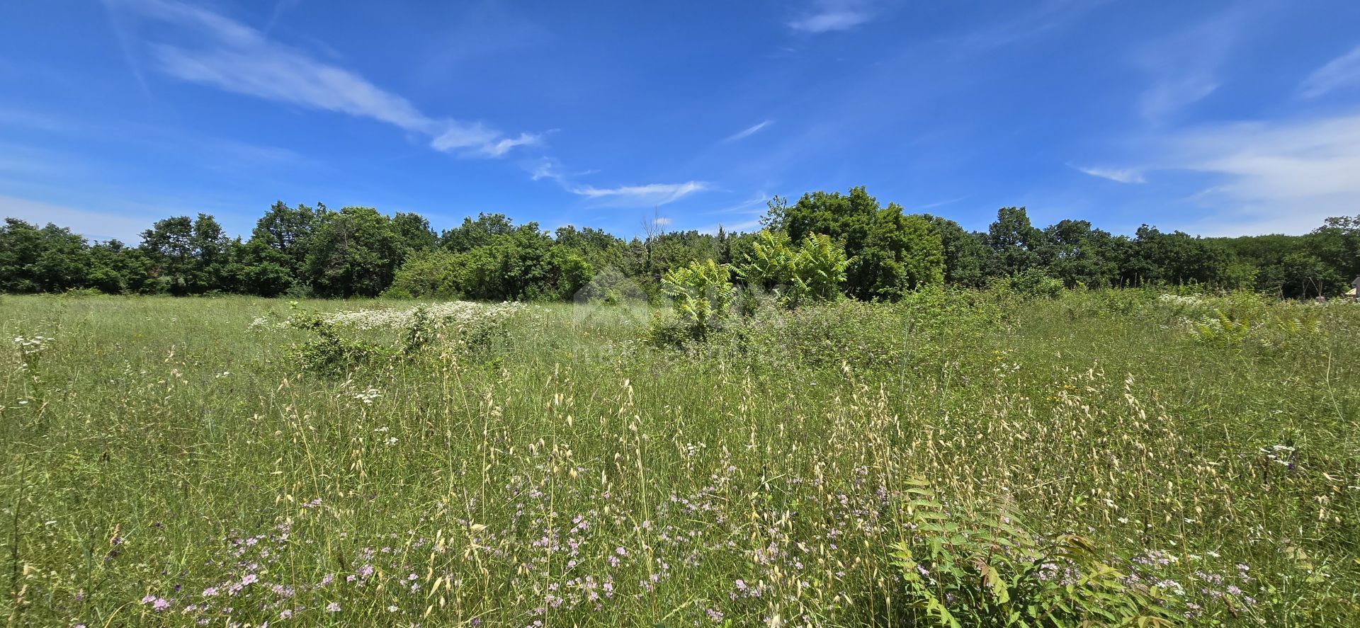 土地 在 Svetvinčenat, Istria County 12670980