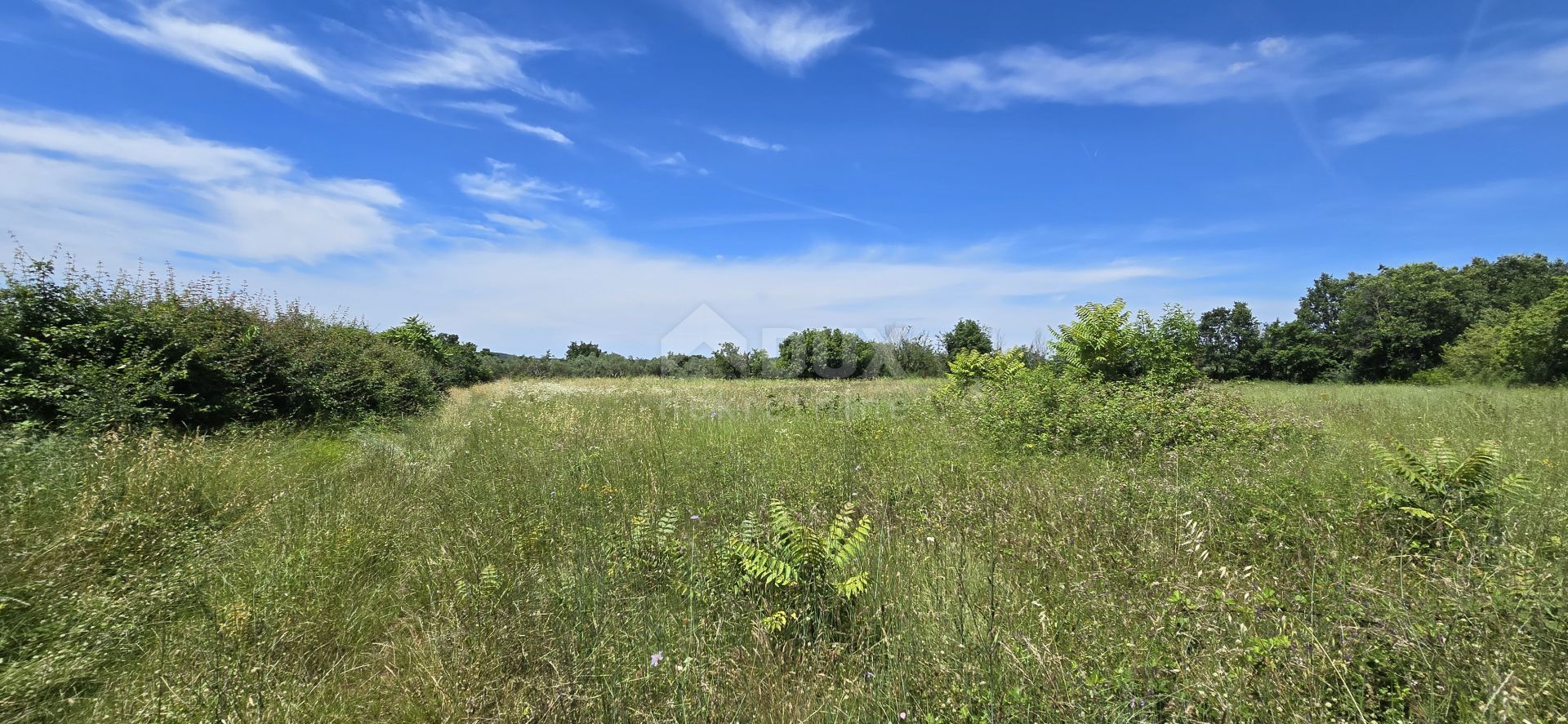 土地 在 Svetvinčenat, Istria County 12670980