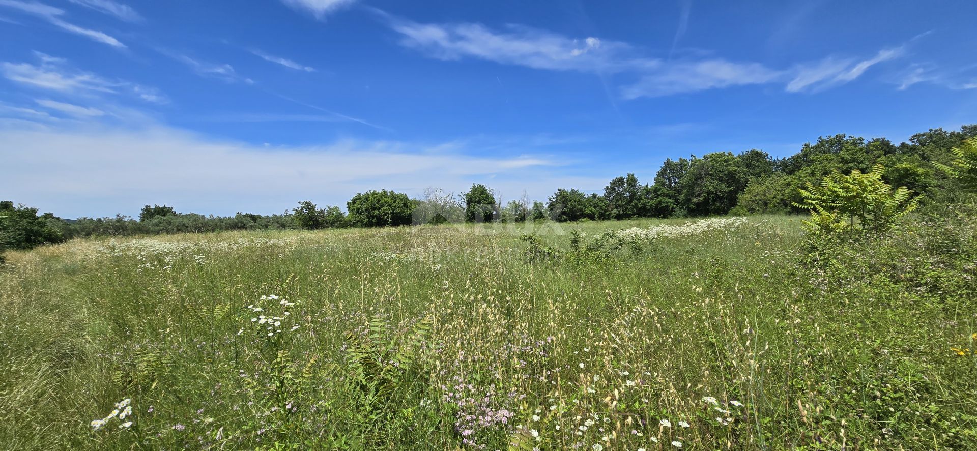 土地 在 Svetvinčenat, Istria County 12670980