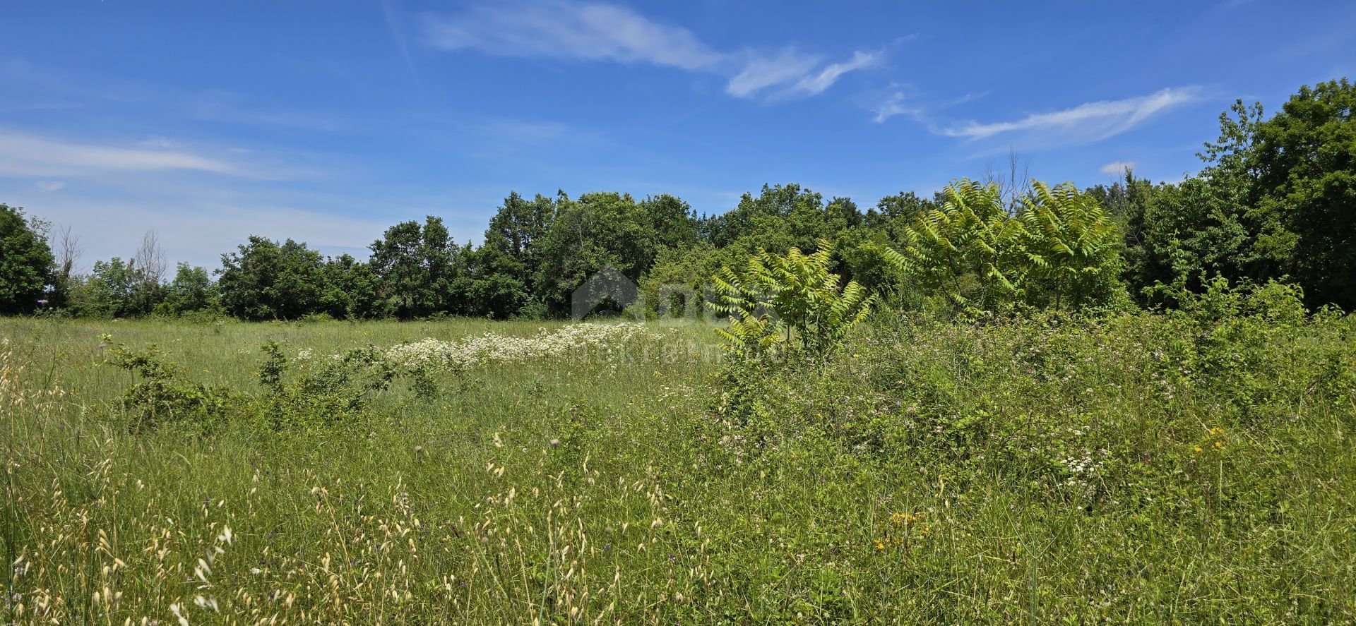 土地 在 Svetvinčenat, Istria County 12670980