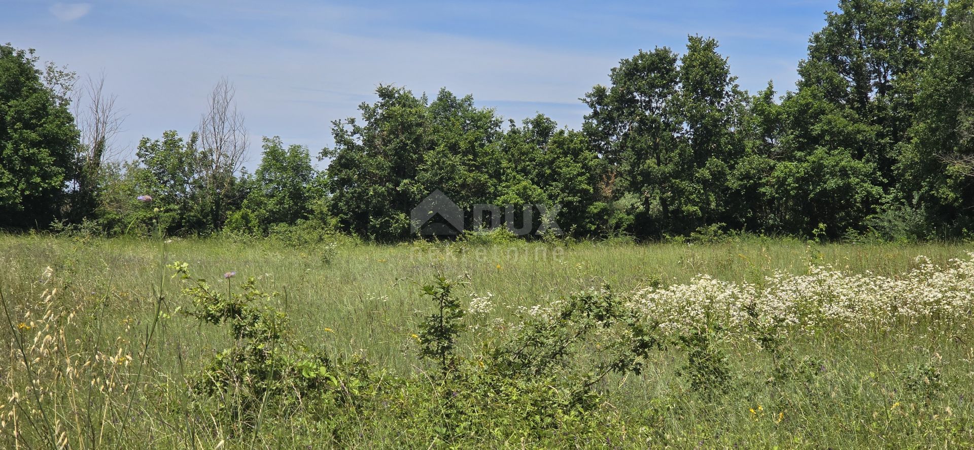 土地 在 Svetvinčenat, Istria County 12670980