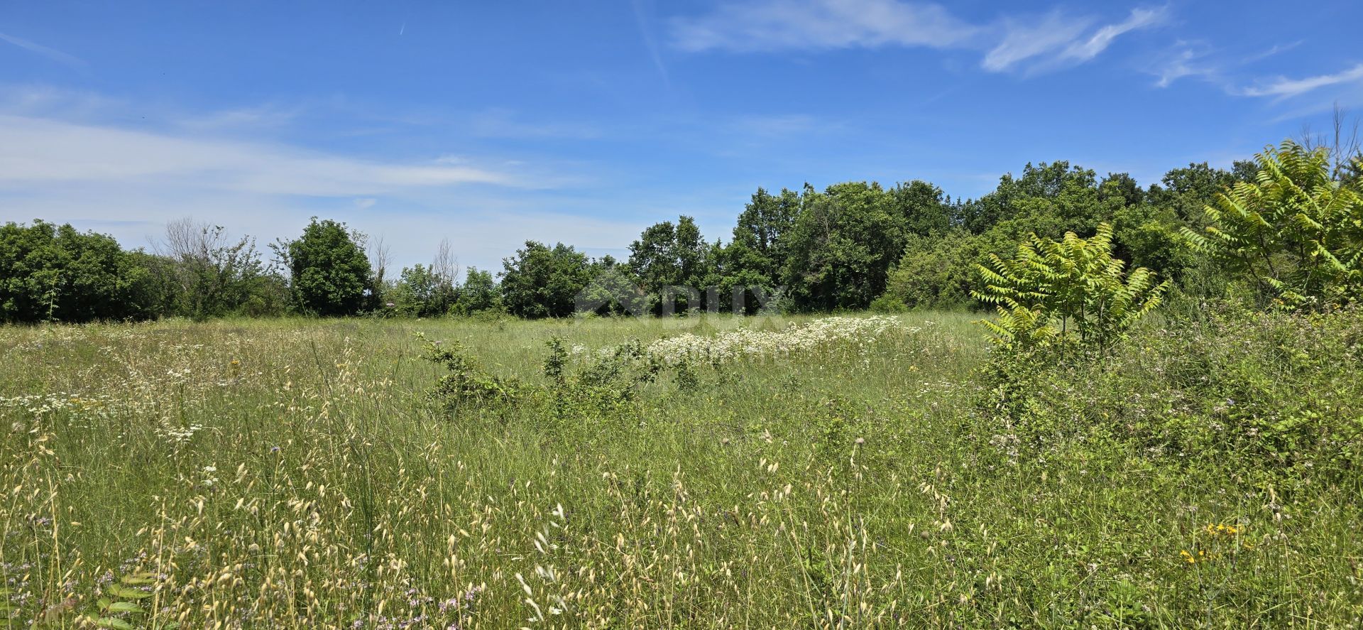 土地 在 Svetvinčenat, Istria County 12670980