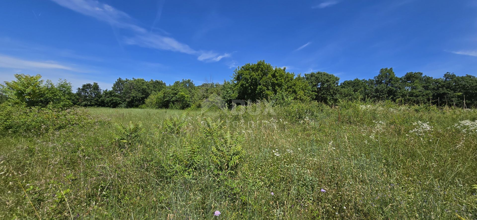 土地 在 Svetvinčenat, Istria County 12670980