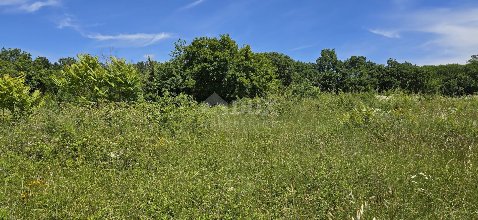 土地 在 Svetvinčenat, Istria County 12670980