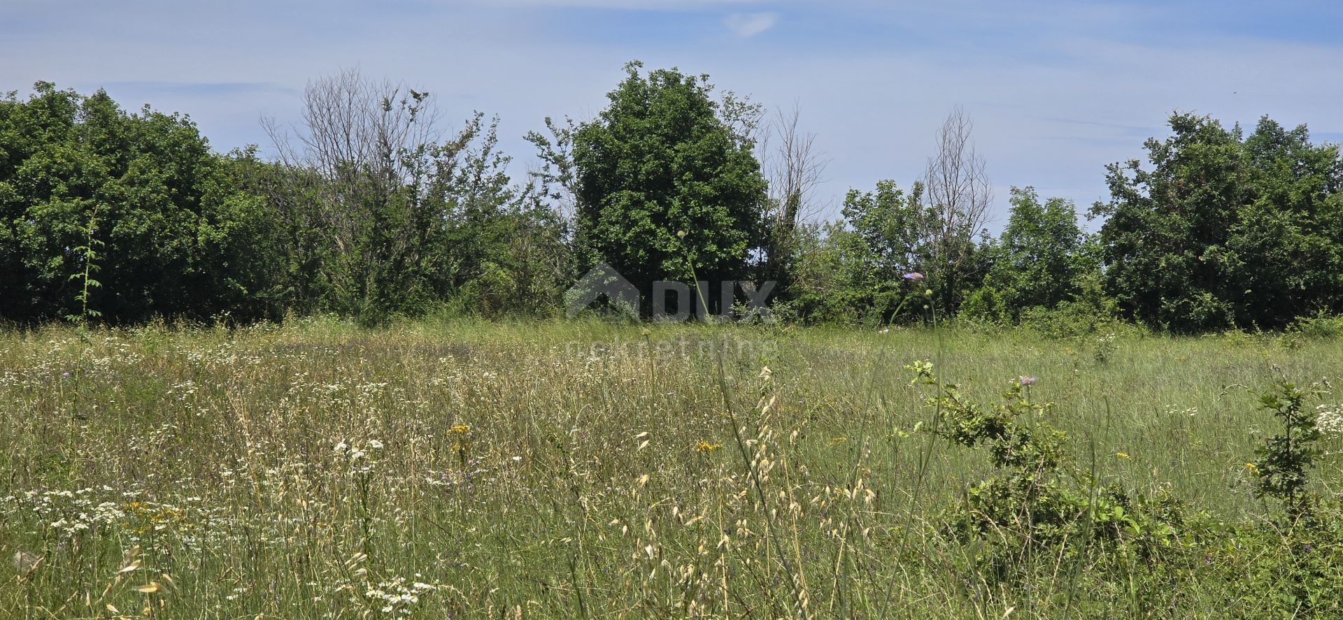 土地 在 Svetvinčenat, Istria County 12670980