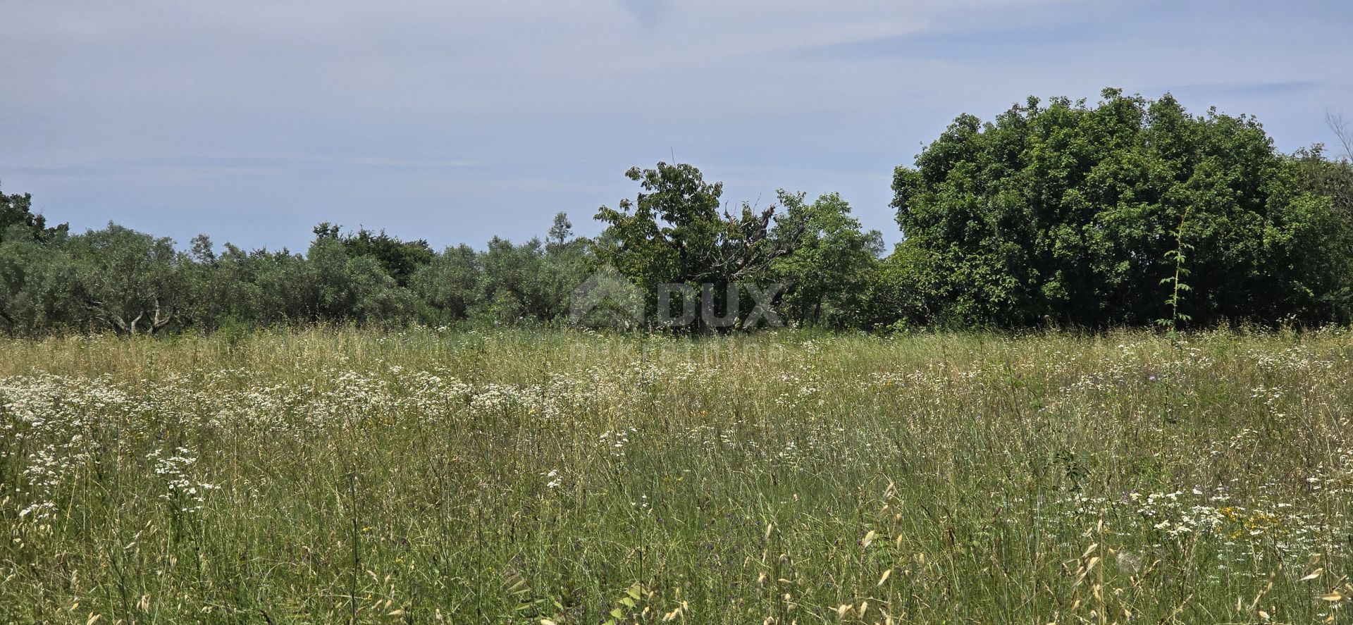 土地 在 Svetvinčenat, Istria County 12670980