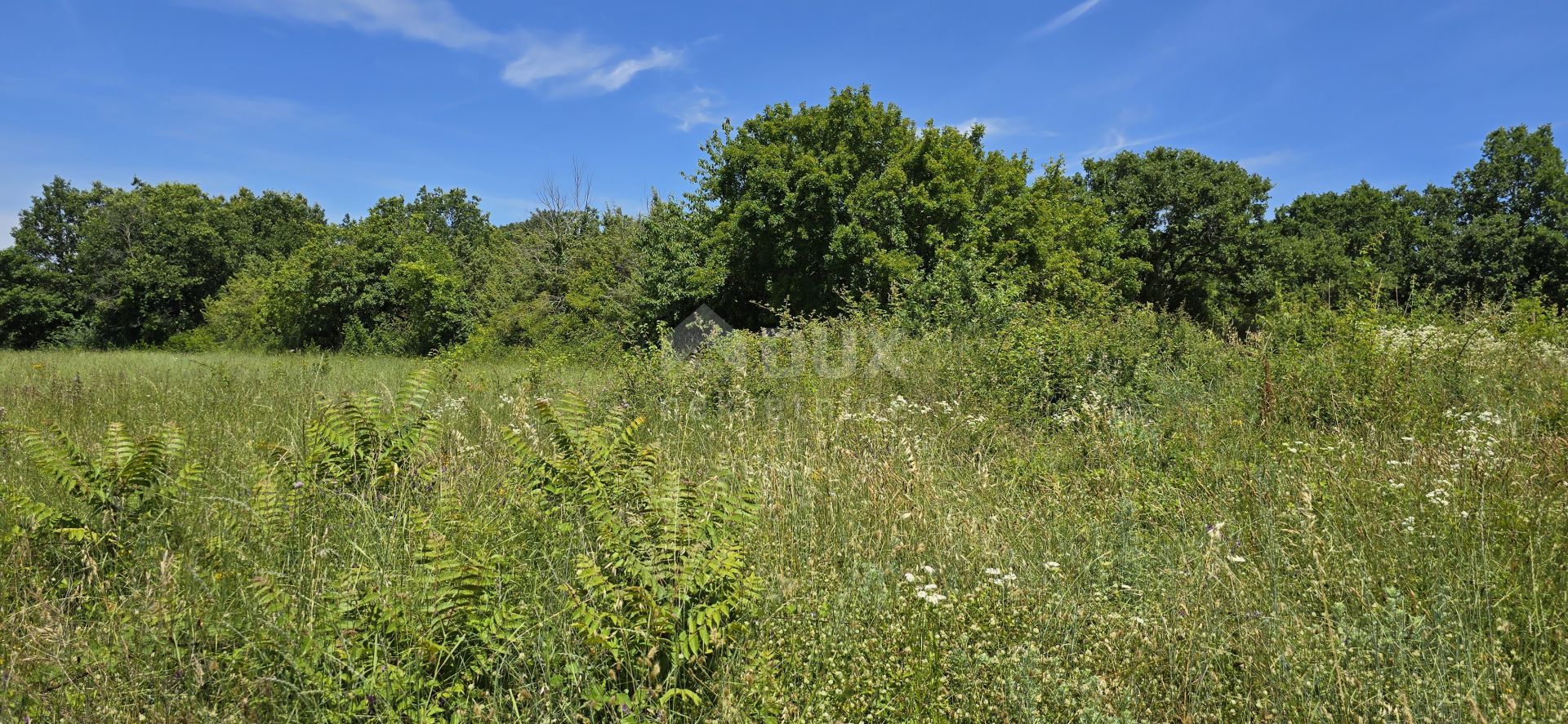 Земельные участки в Svetvinčenat, Istria County 12670982