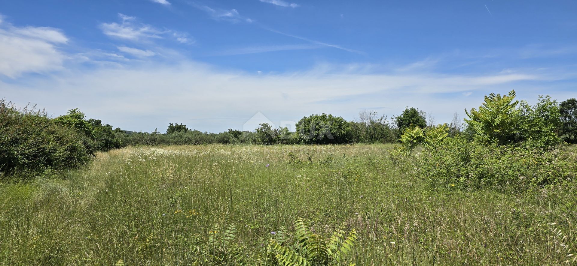 Земельные участки в Svetvinčenat, Istria County 12670982