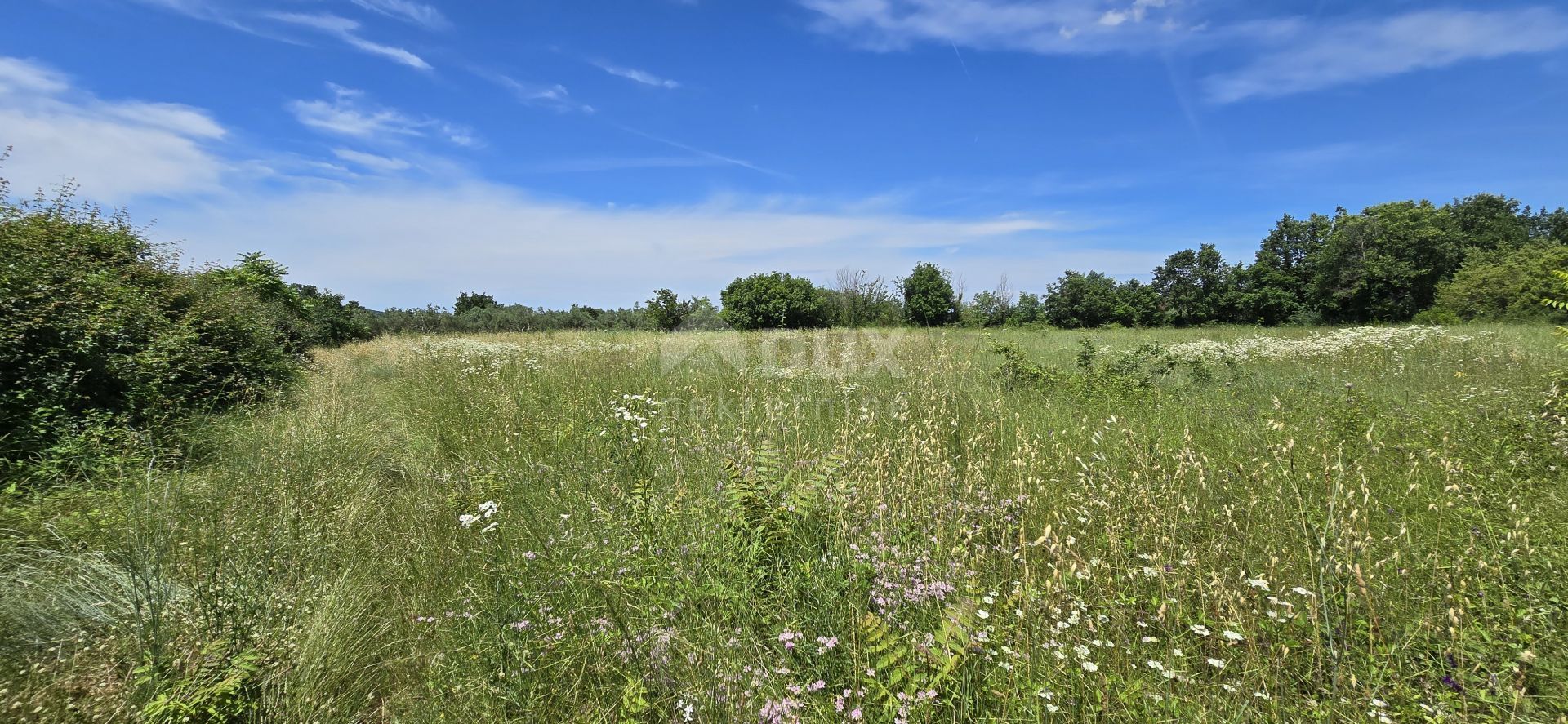 भूमि में Svetvinčenat, Istria County 12670983