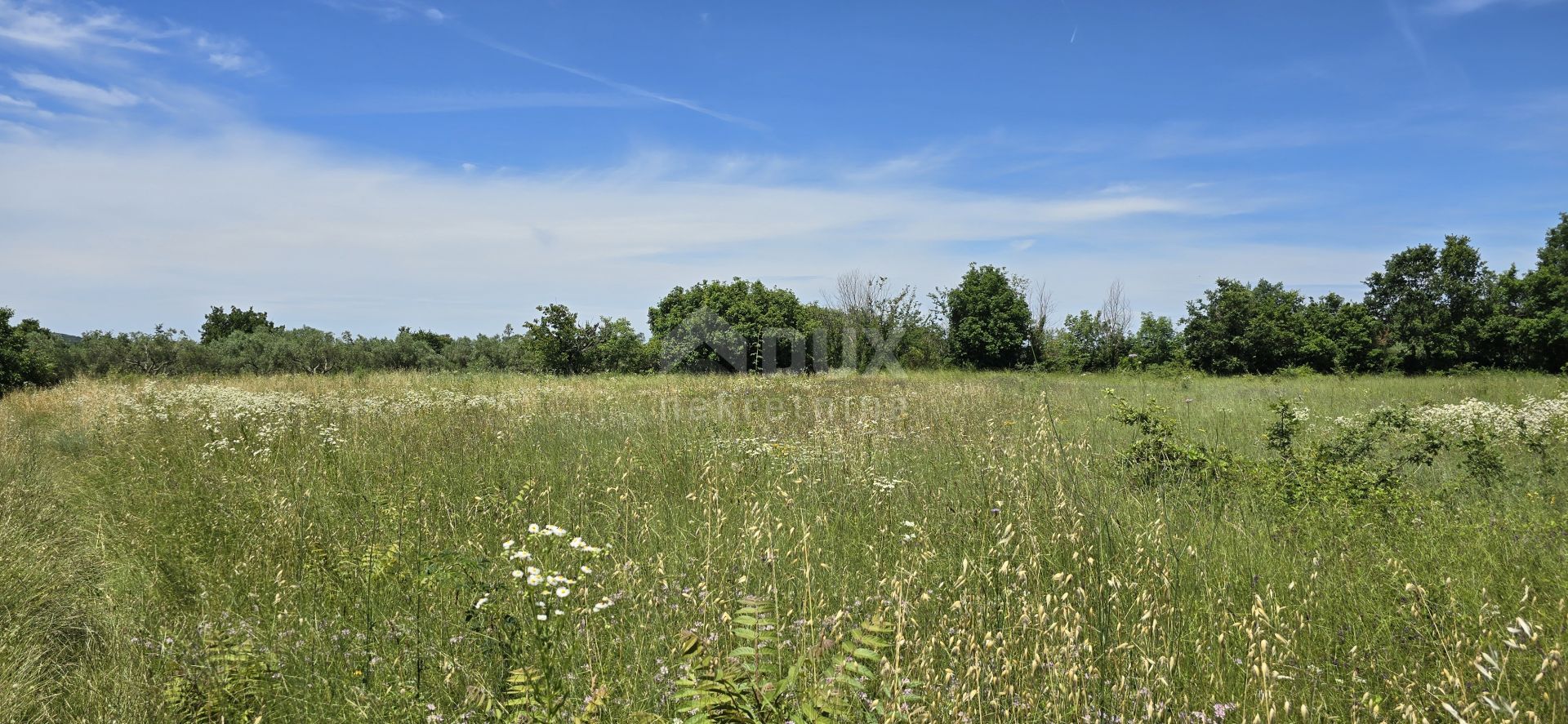 Land im Svetvinčenat, Istria County 12670983