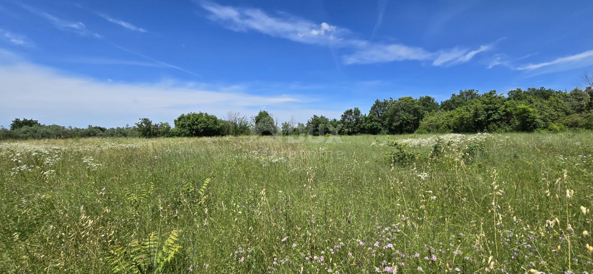 Land im Svetvinčenat, Istria County 12670983