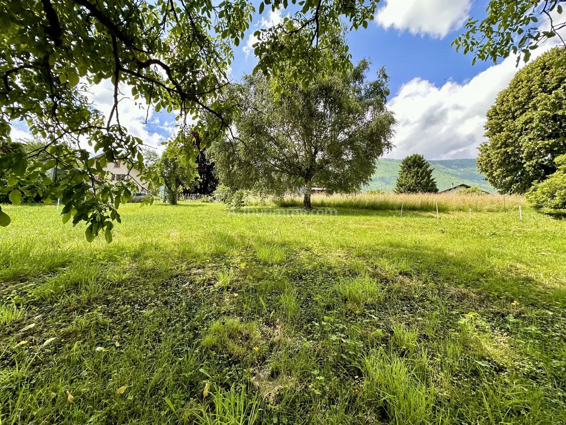 Land i La Motte-Servolex, Auvergne-Rhone-Alpes 12671670