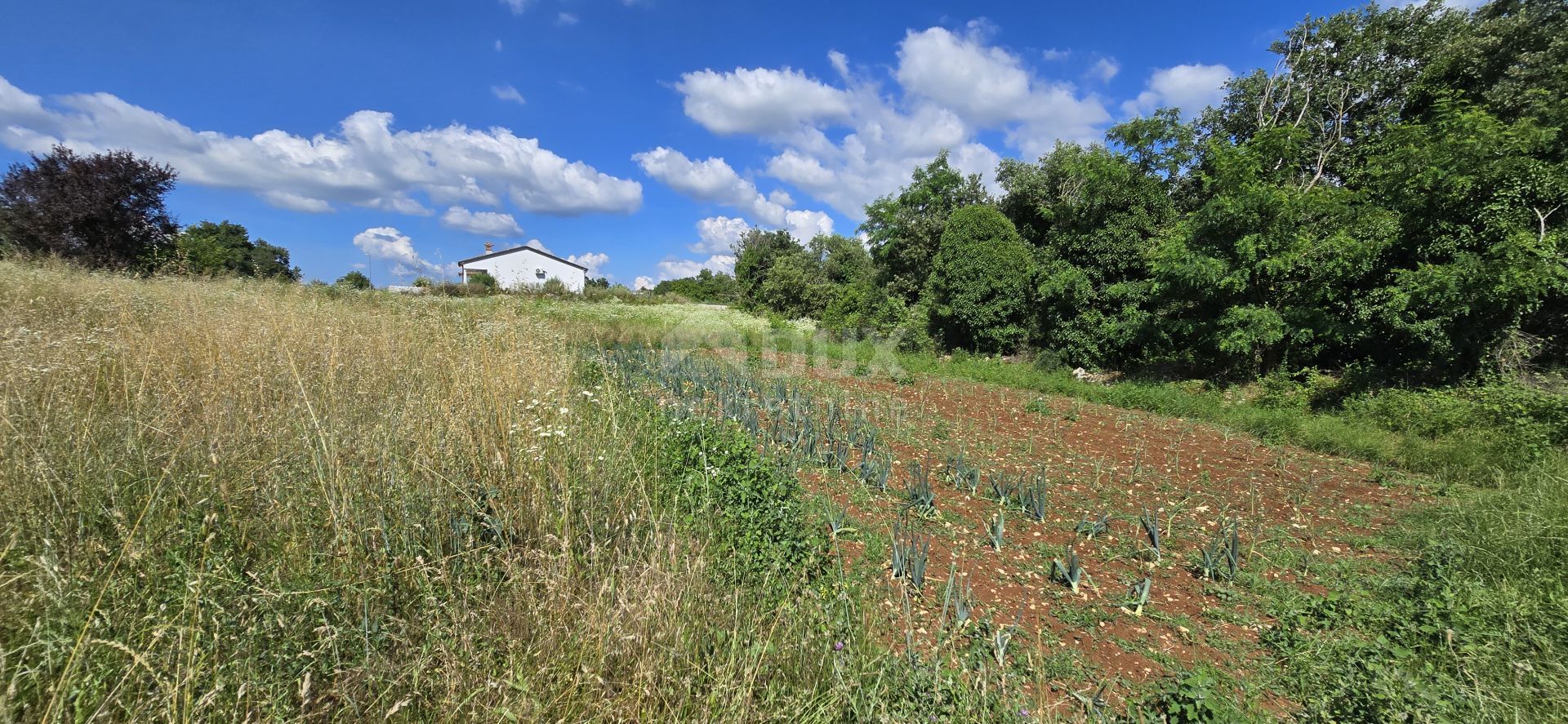 Tanah di Tinjan, Istria County 12672979