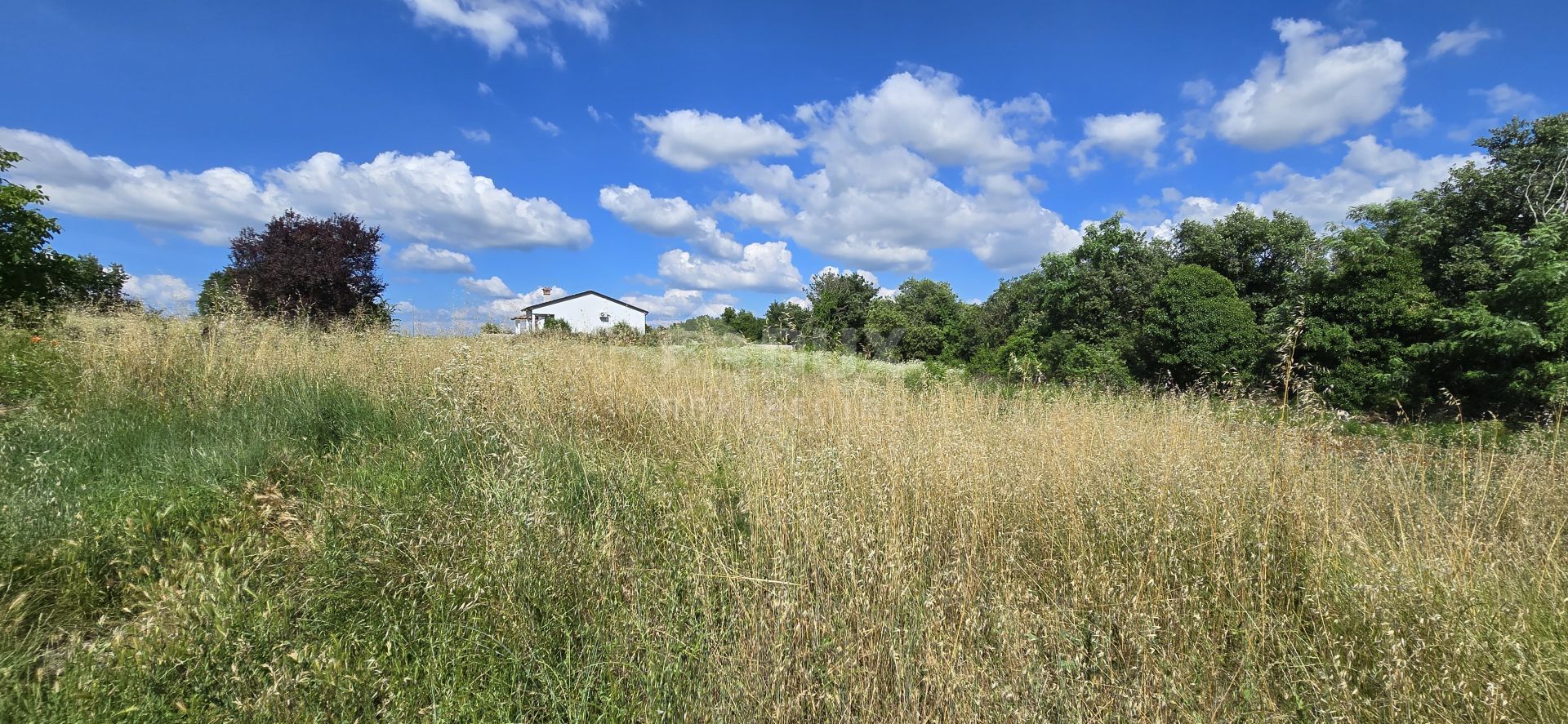 Tanah di Tinjan, Istria County 12672979