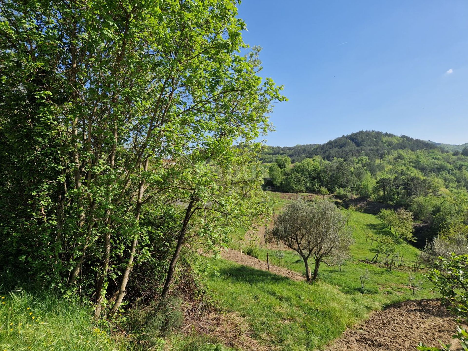 Tierra en Klarici, Istarska Županija 12674047