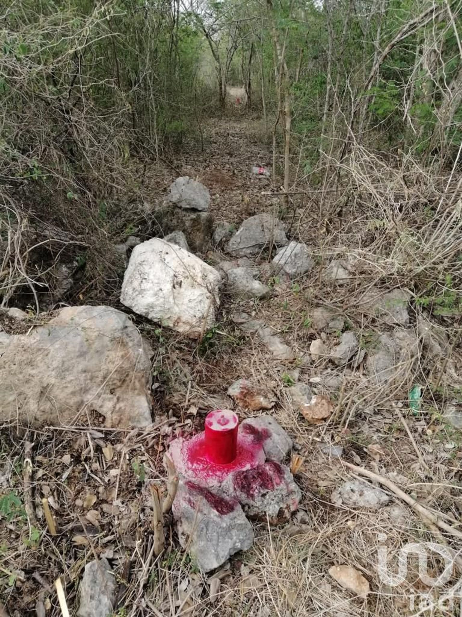 Tierra en Conkal, Yucatan 12675531