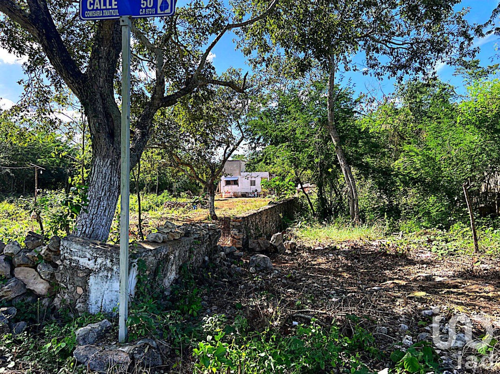 Land in Colonia Leona Vicario, Yucatán 12675535