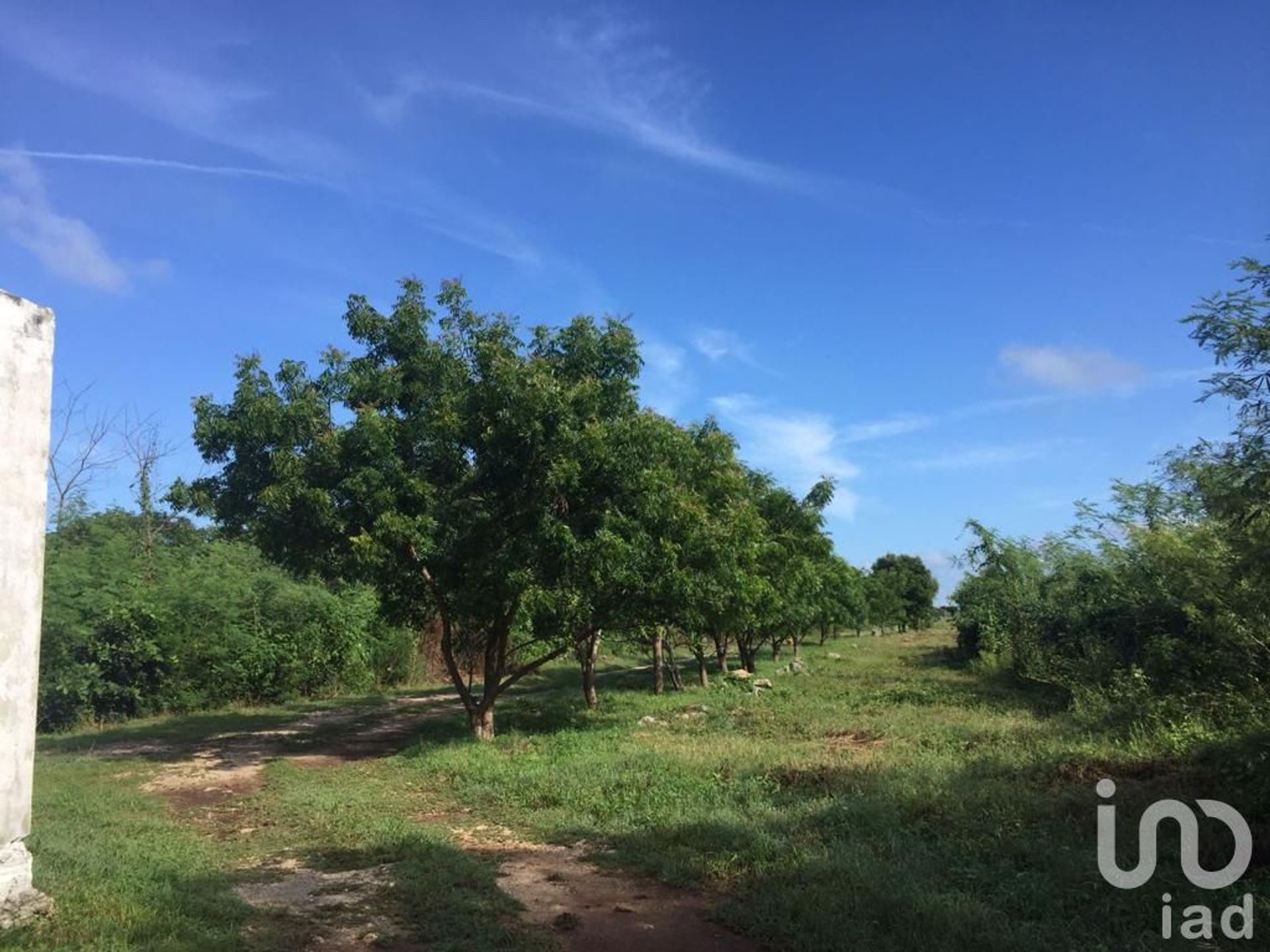 Terre dans Sitpach, Yucatán 12675548