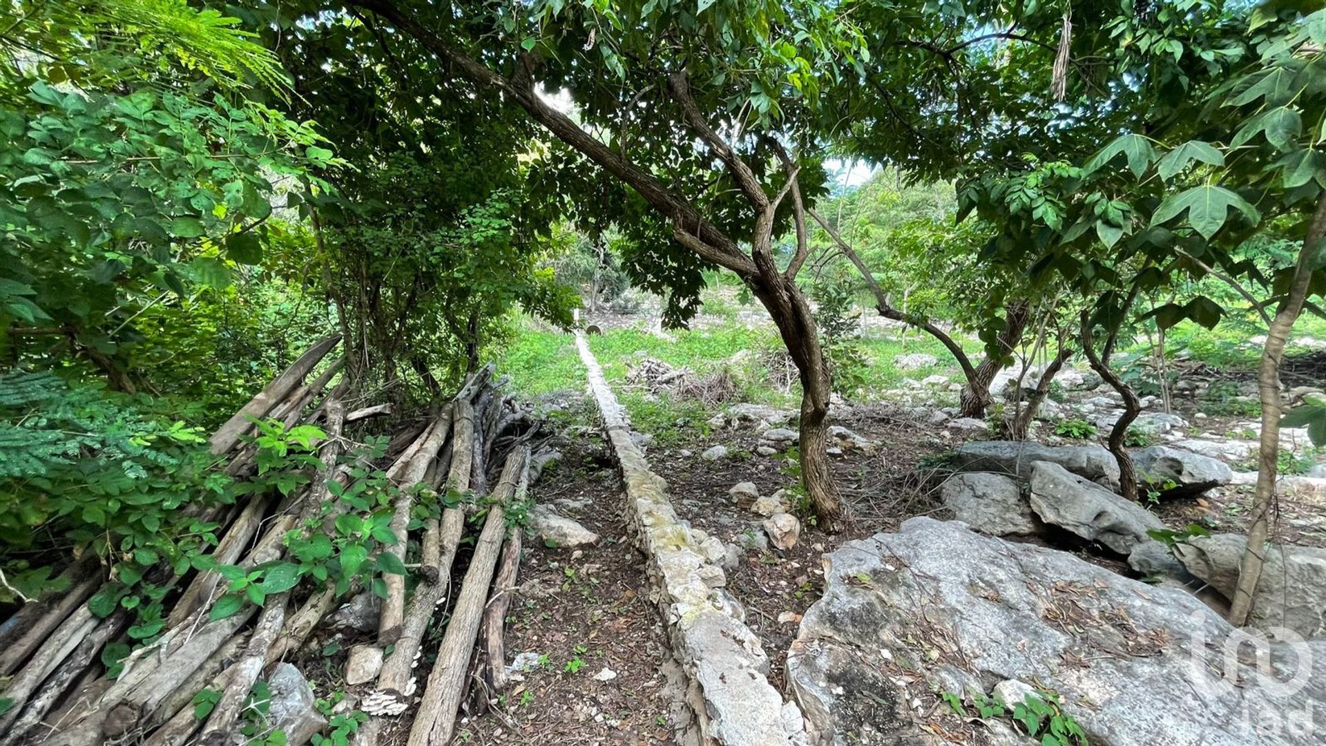 Land in El Jobo, Chiapas 12675557