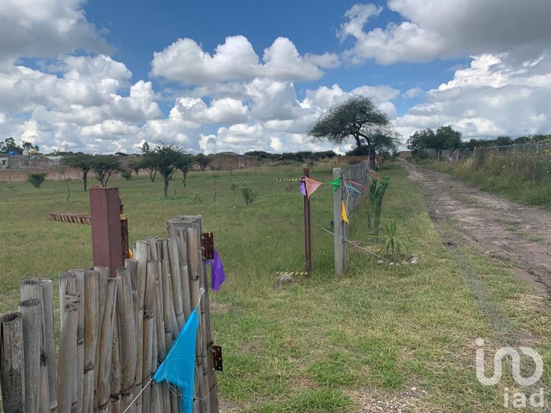 Tanah di Las Trojas, Guanajuato 12675583