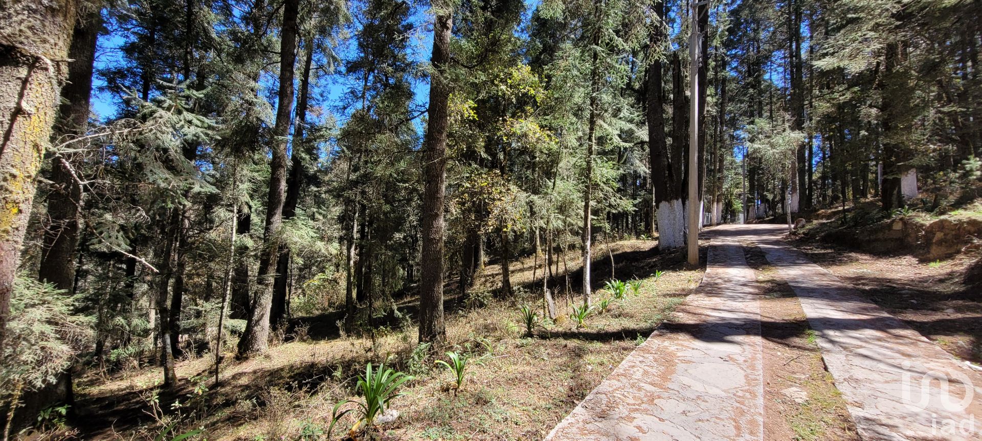 Maa sisään Barrio de Escobar, Hidalgo 12675701